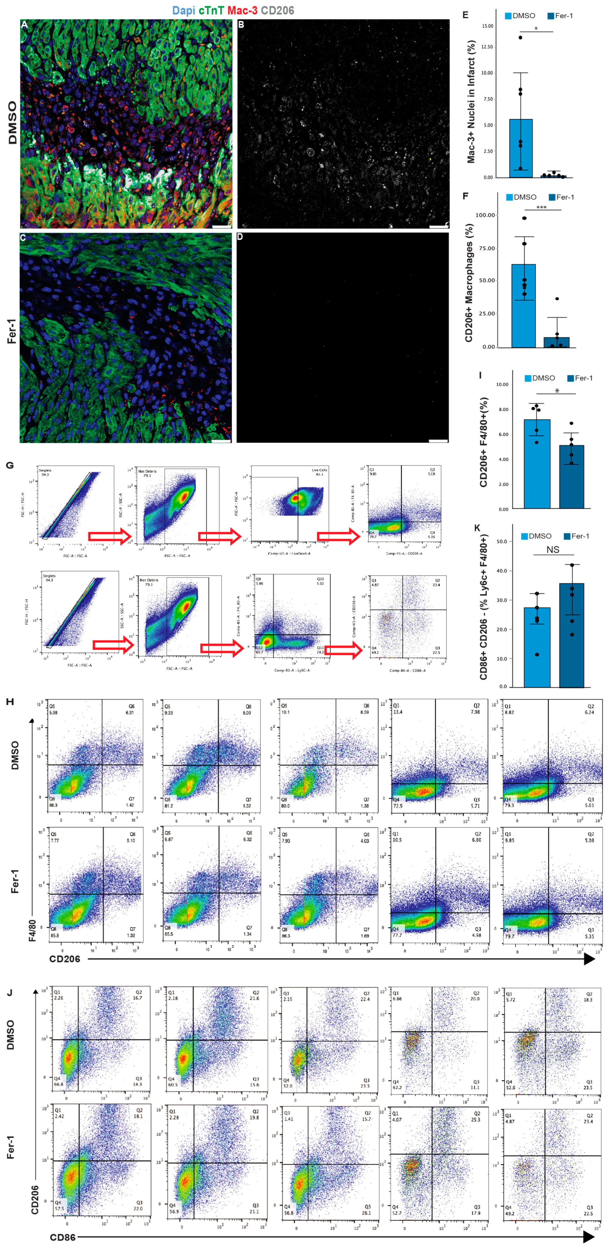 Antioxidants 13 00769 g005