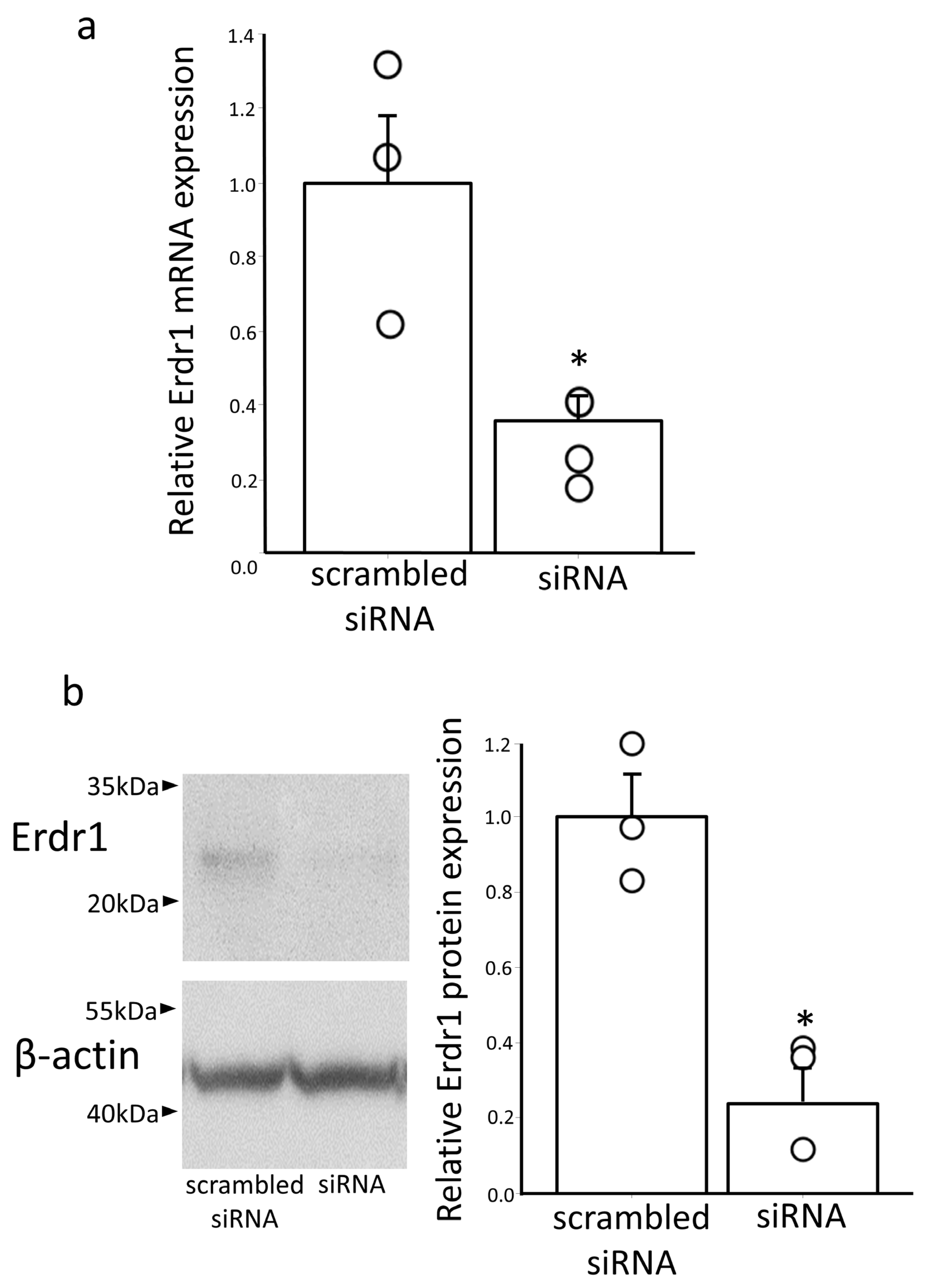 Antioxidants 13 00771 g002
