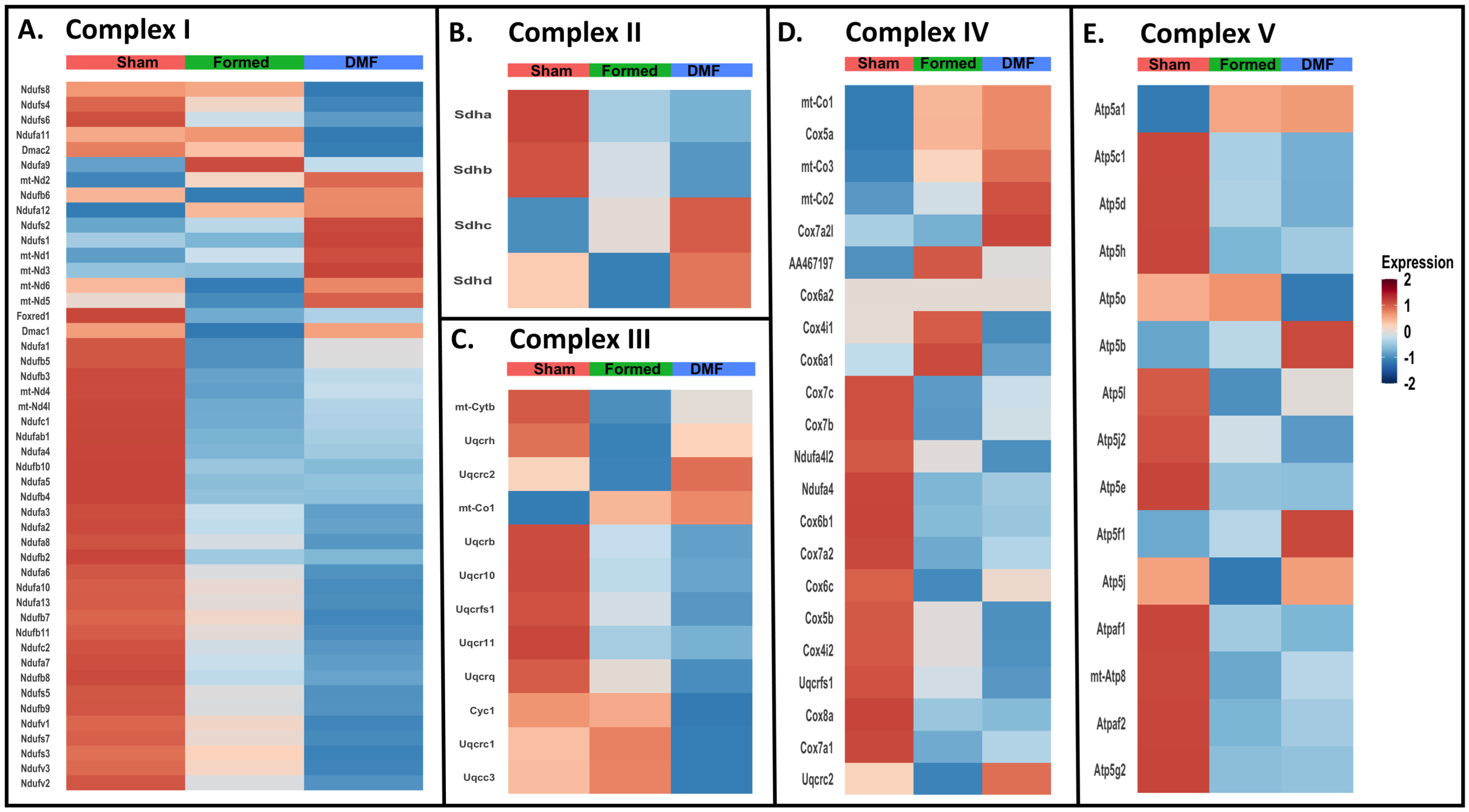 Antioxidants 13 00773 g005