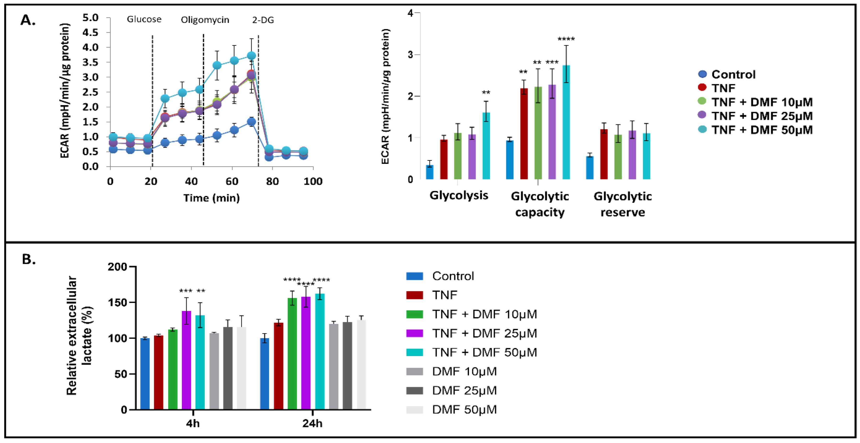 Antioxidants 13 00773 g007