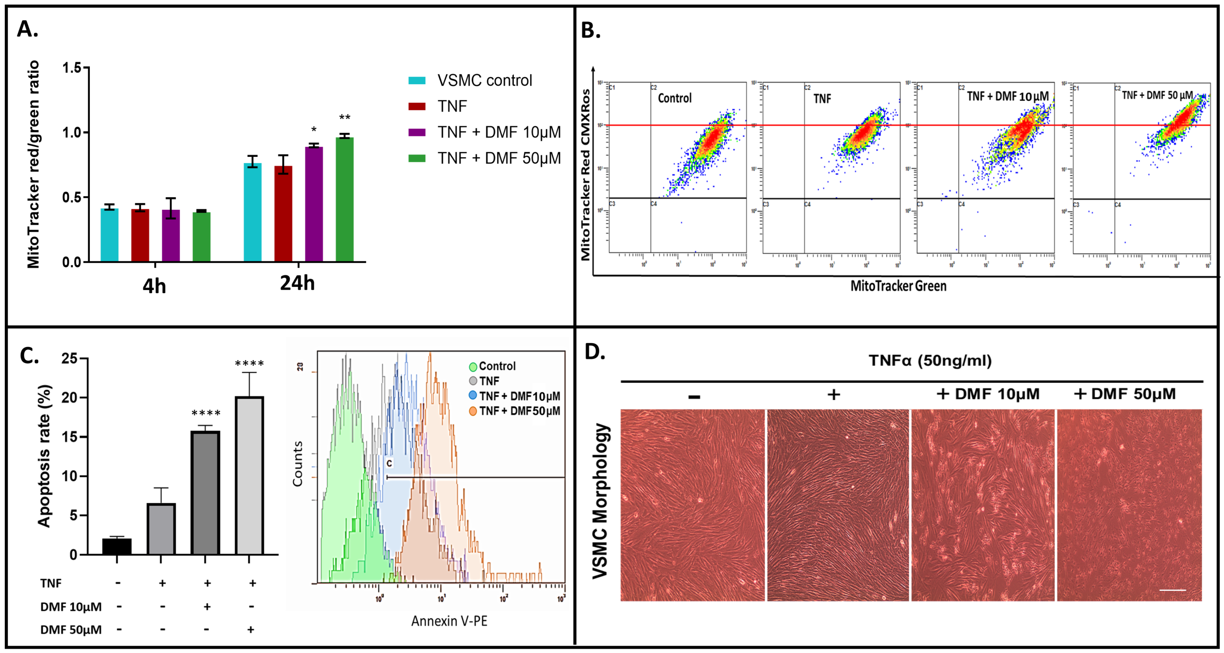 Antioxidants 13 00773 g008