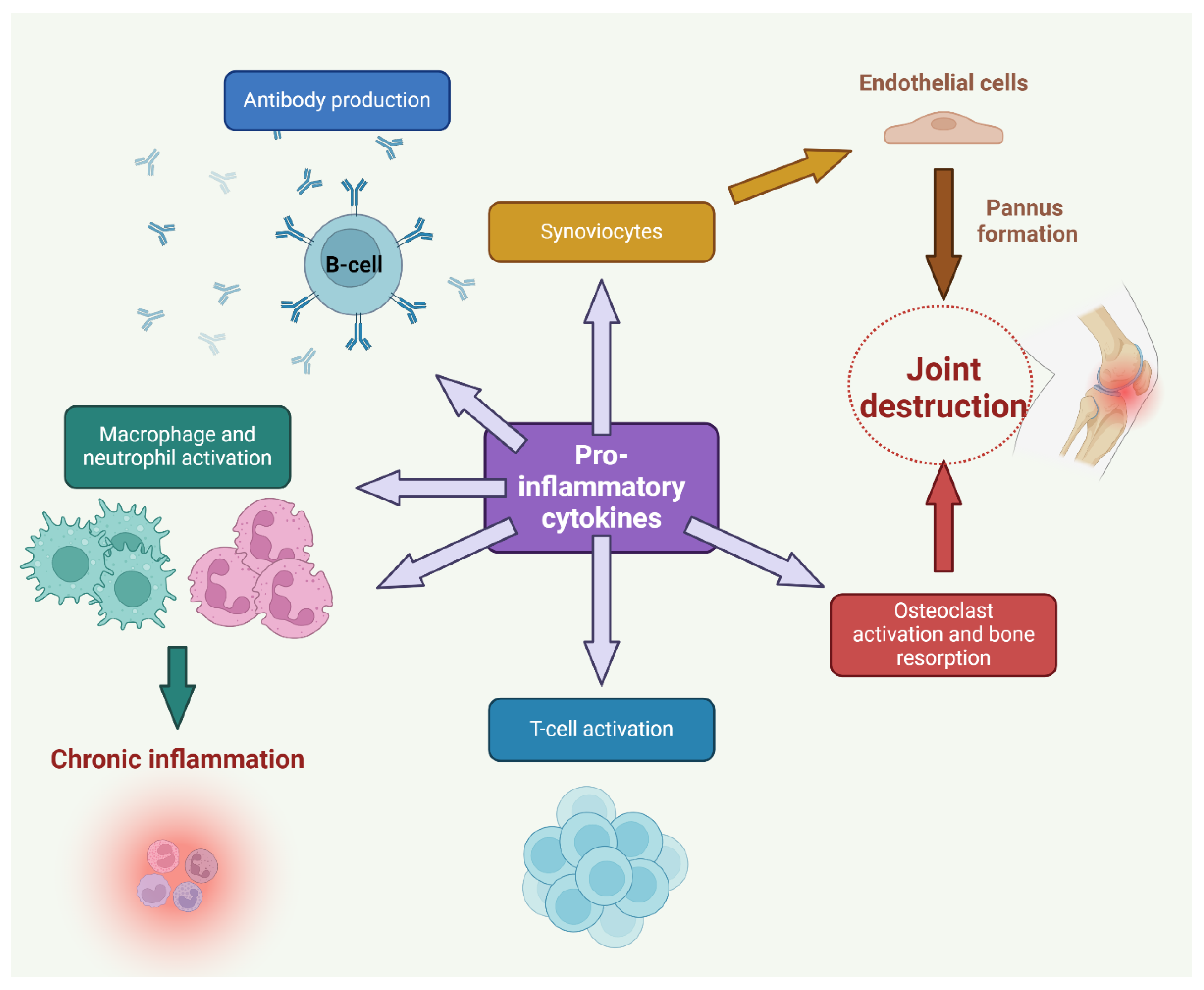 Antioxidants 13 00775 g003