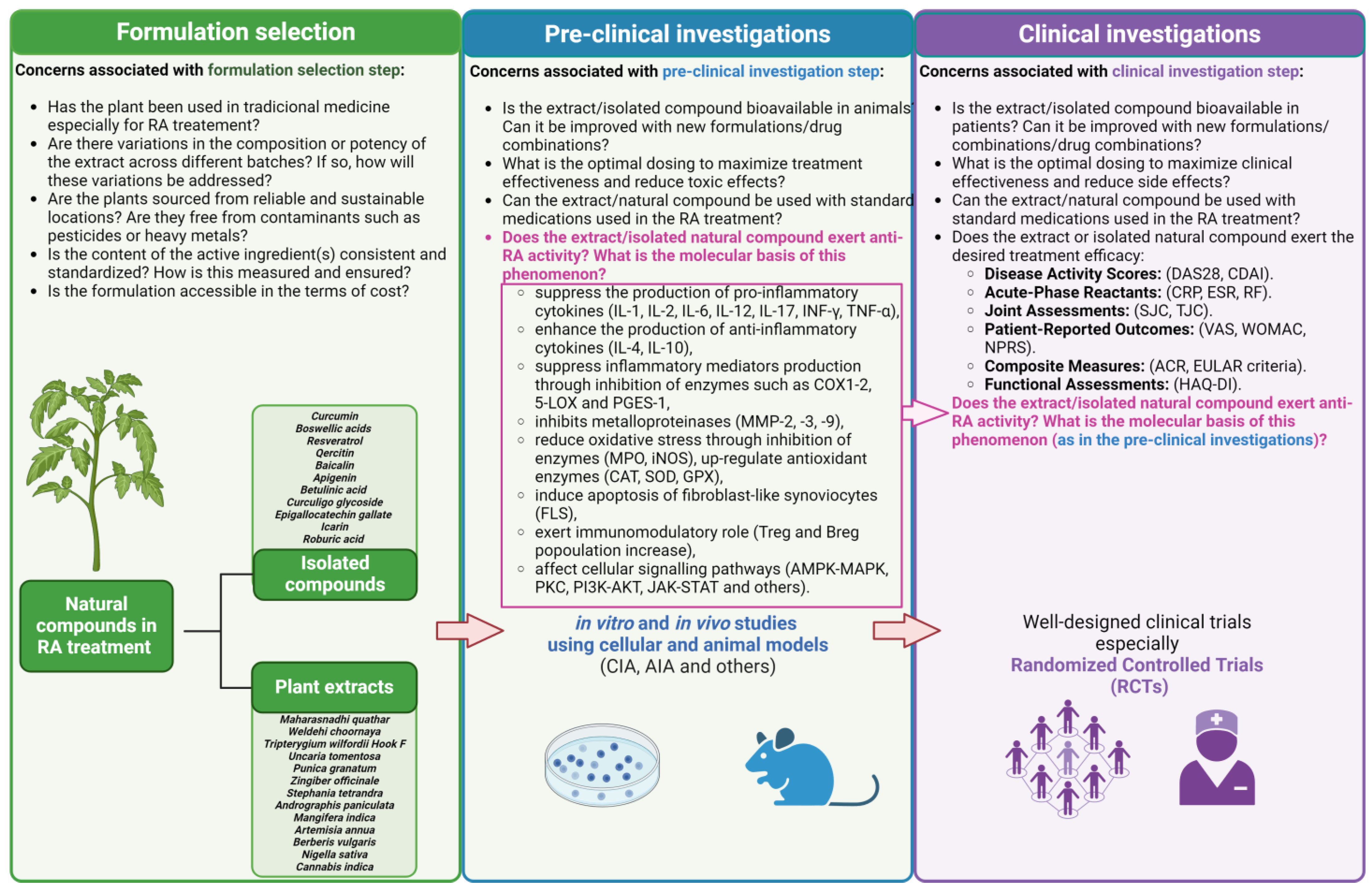 Antioxidants 13 00775 g007