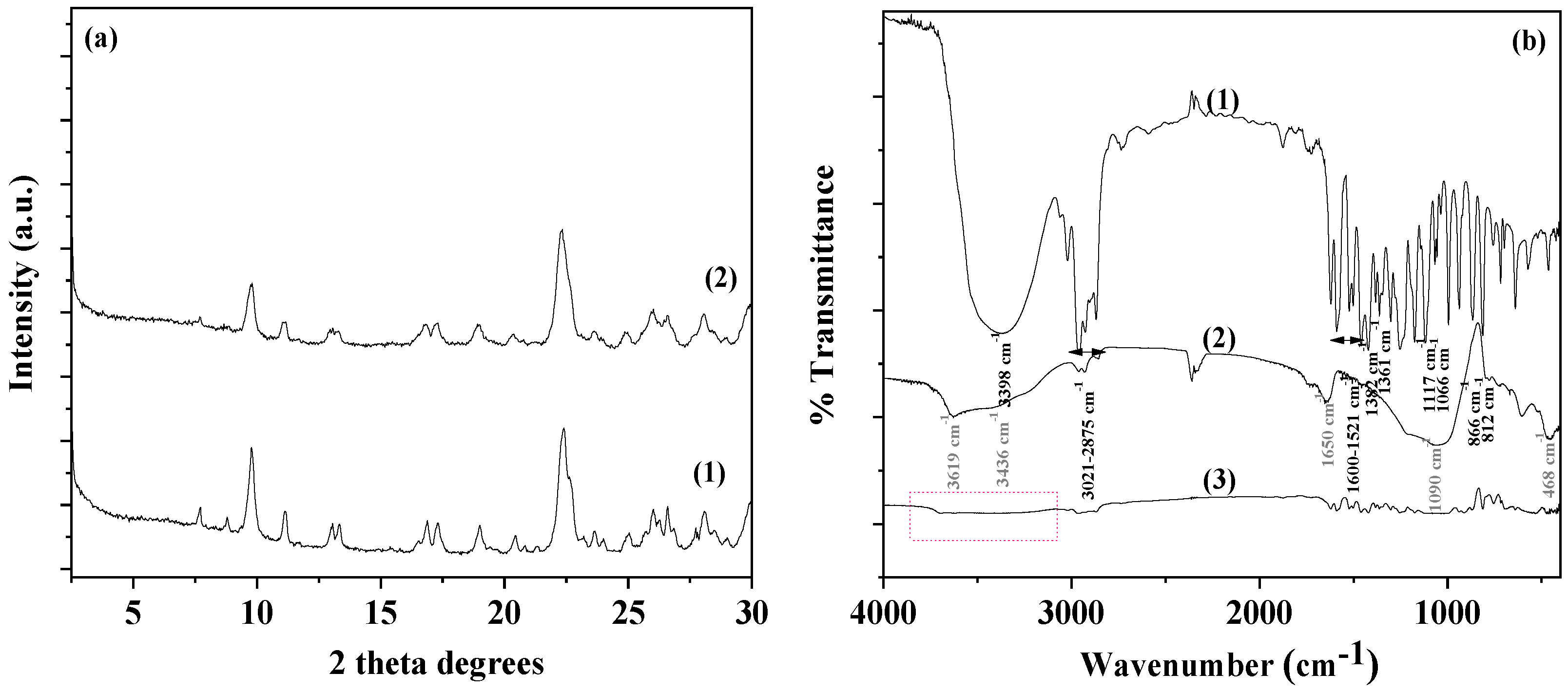 Antioxidants 13 00776 g002
