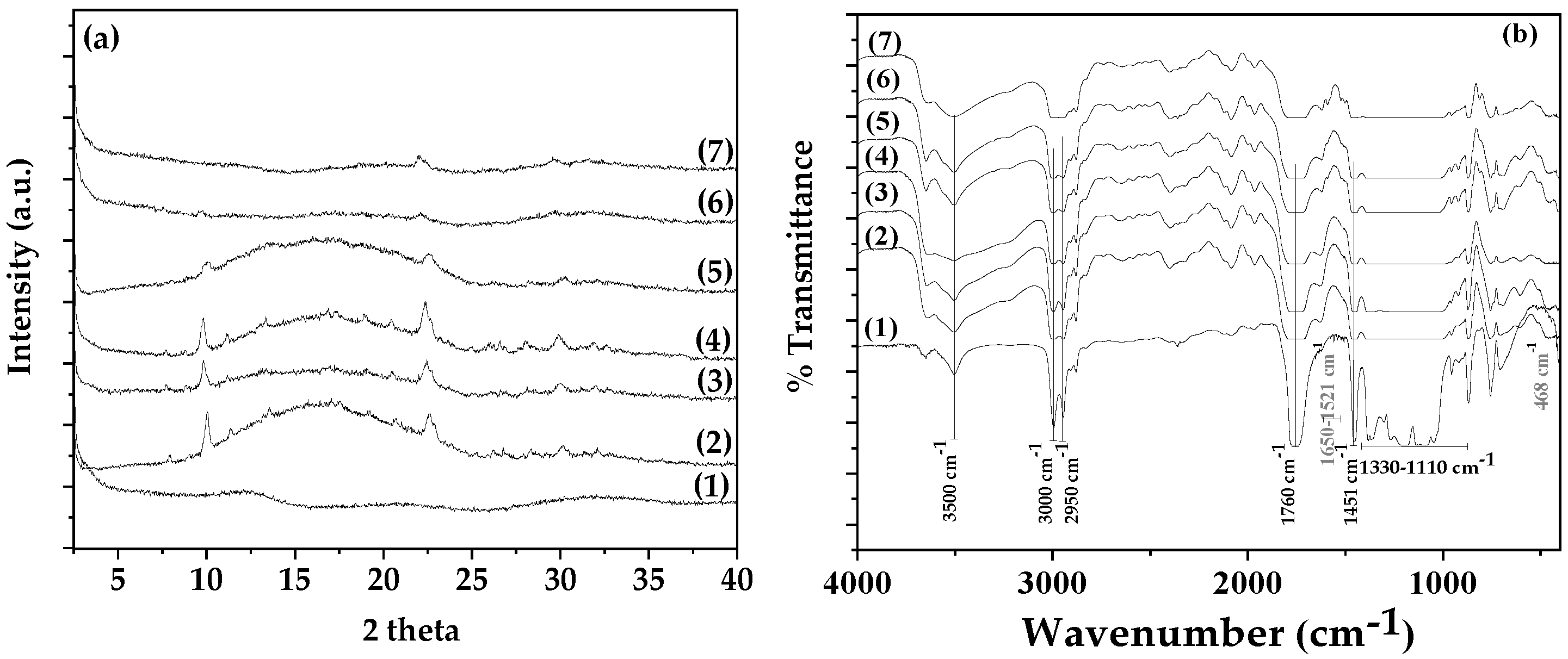 Antioxidants 13 00776 g005