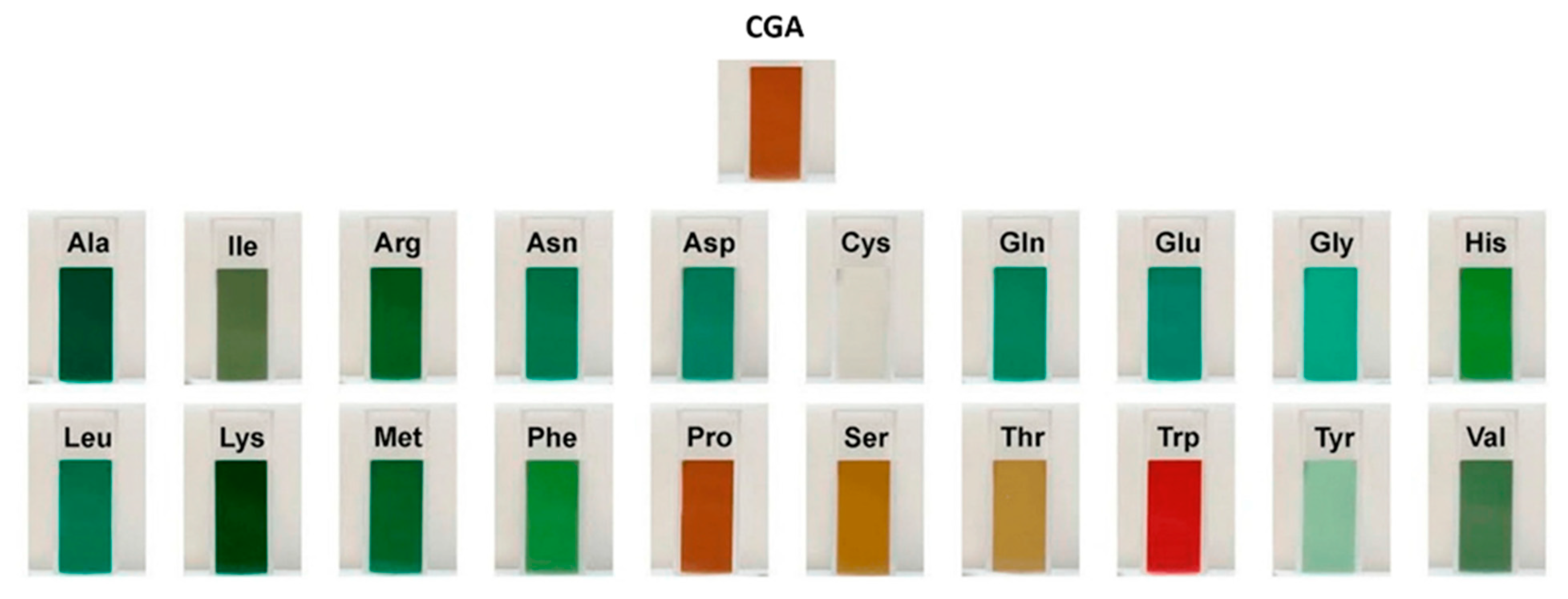 Antioxidants 13 00777 g006