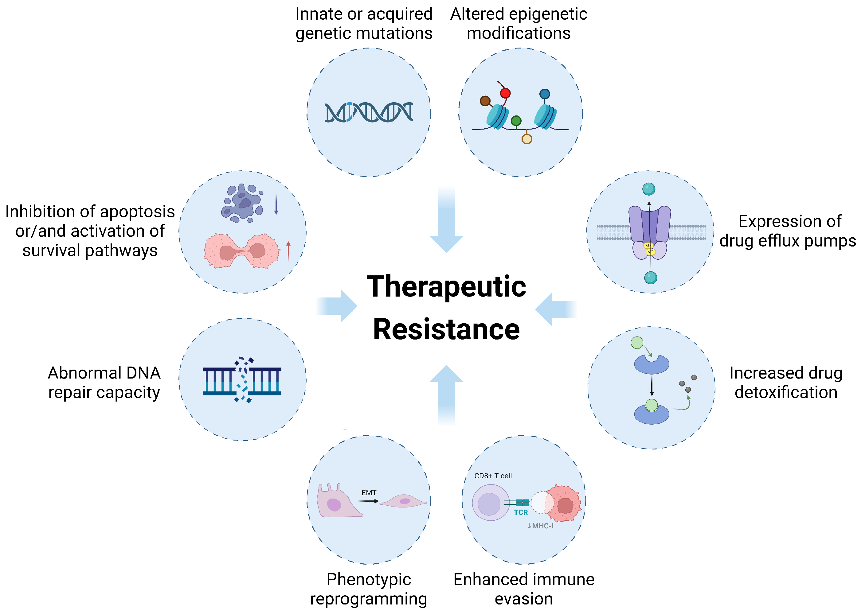 Antioxidants 13 00778 g002