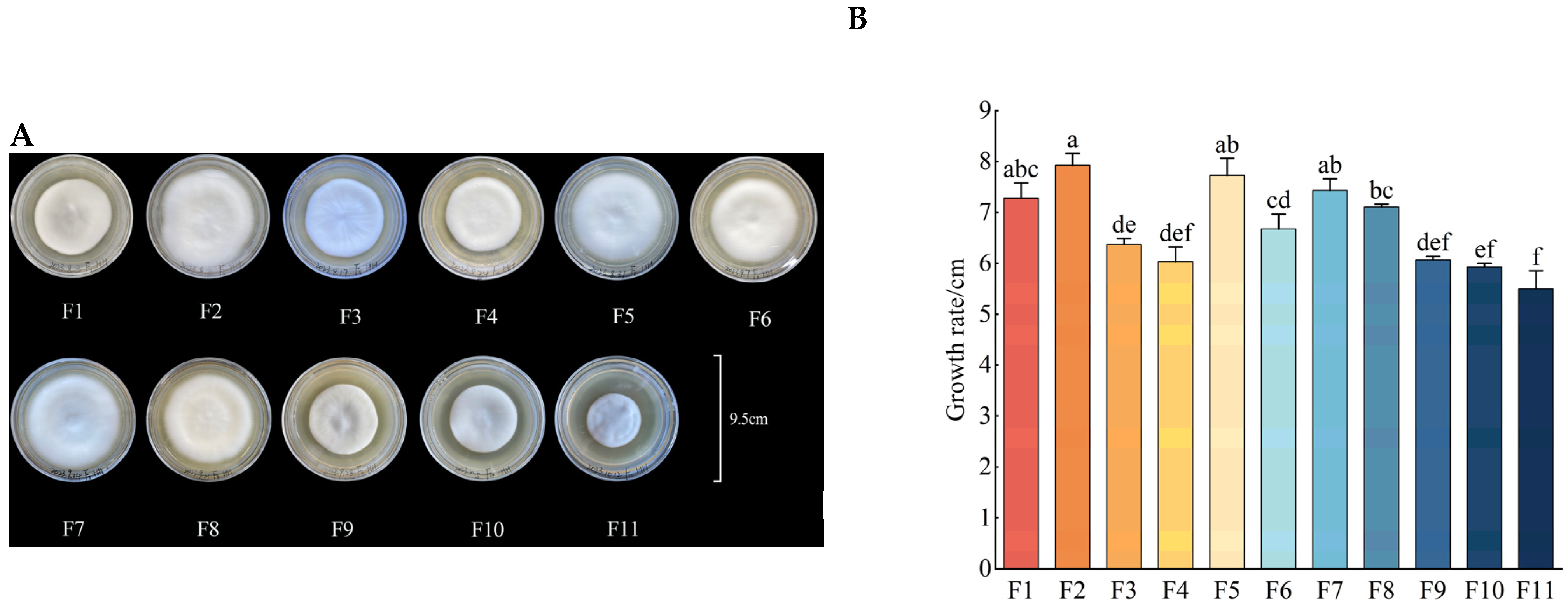 Antioxidants 13 00780 g001a