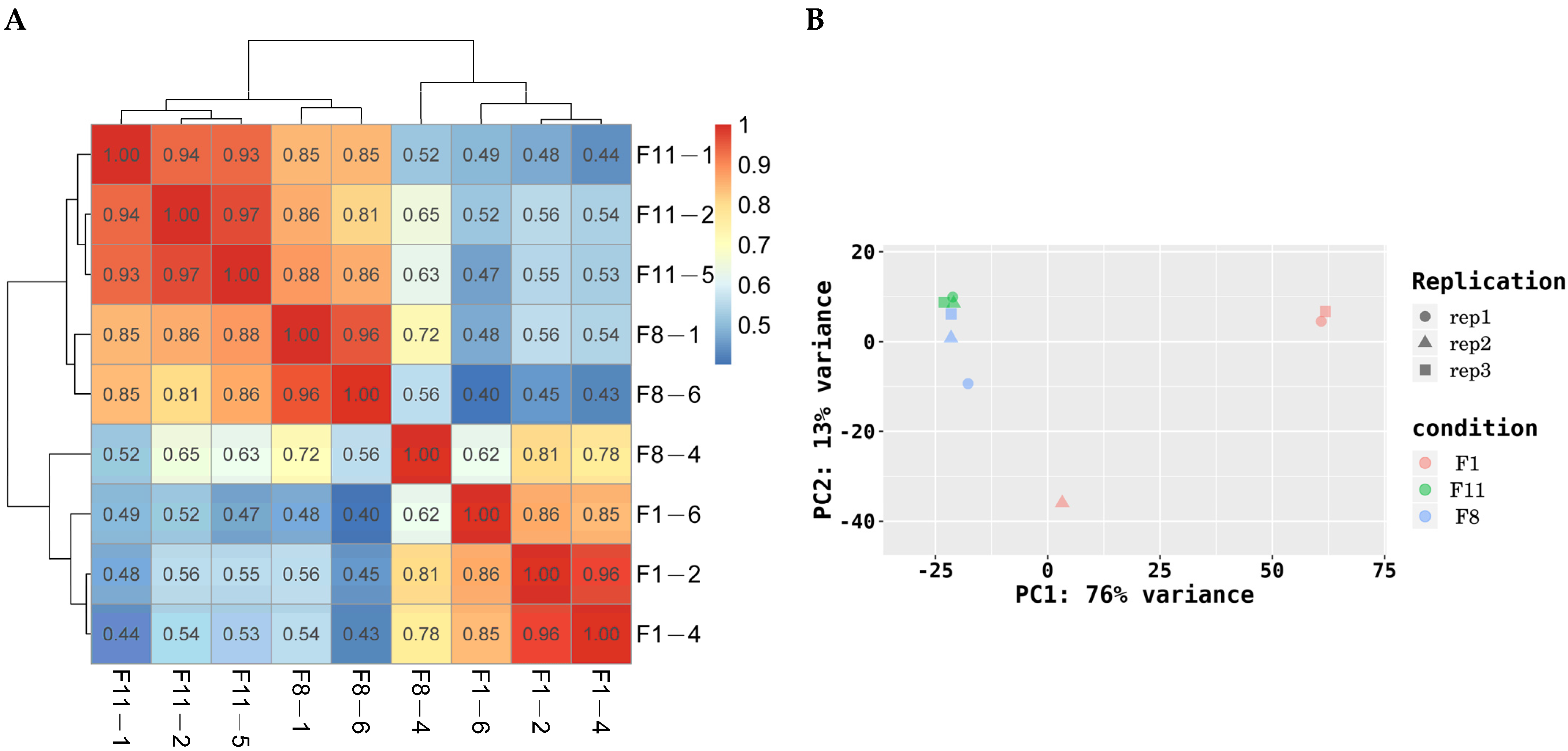 Antioxidants 13 00780 g008