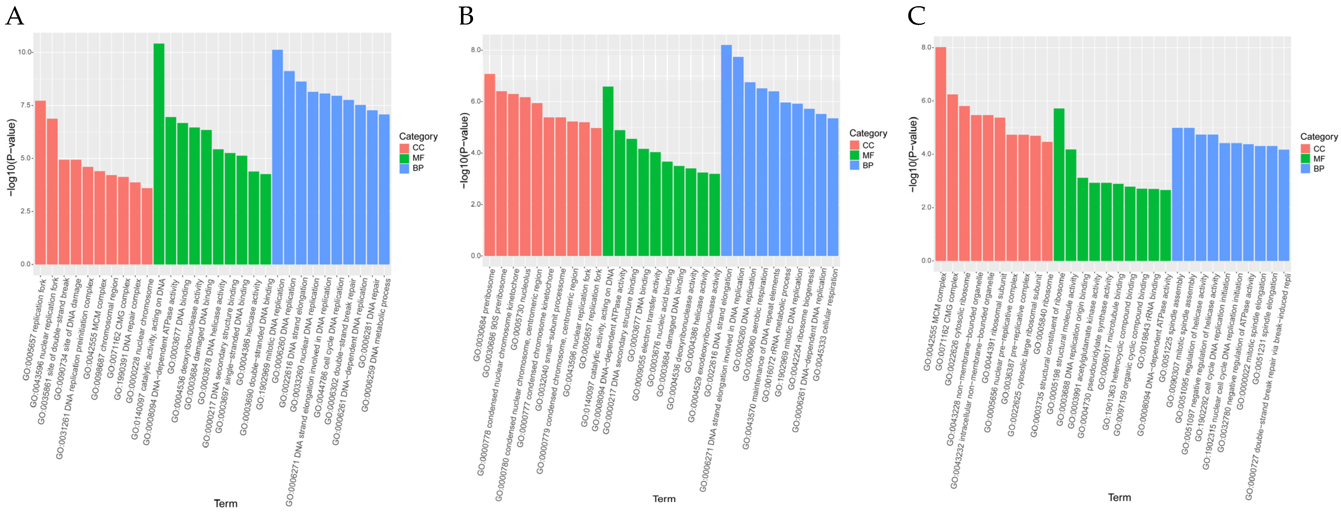 Antioxidants 13 00780 g011
