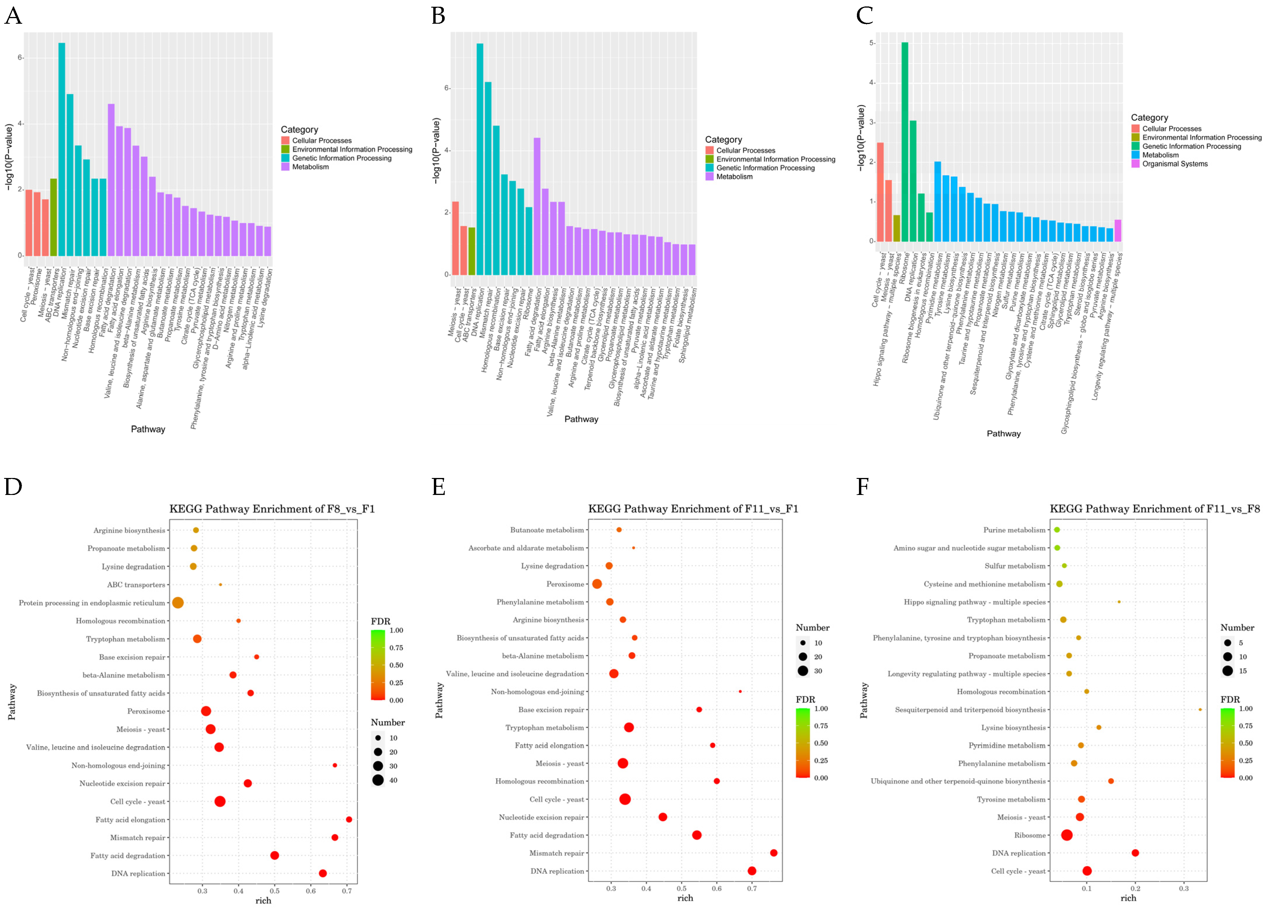Antioxidants 13 00780 g012