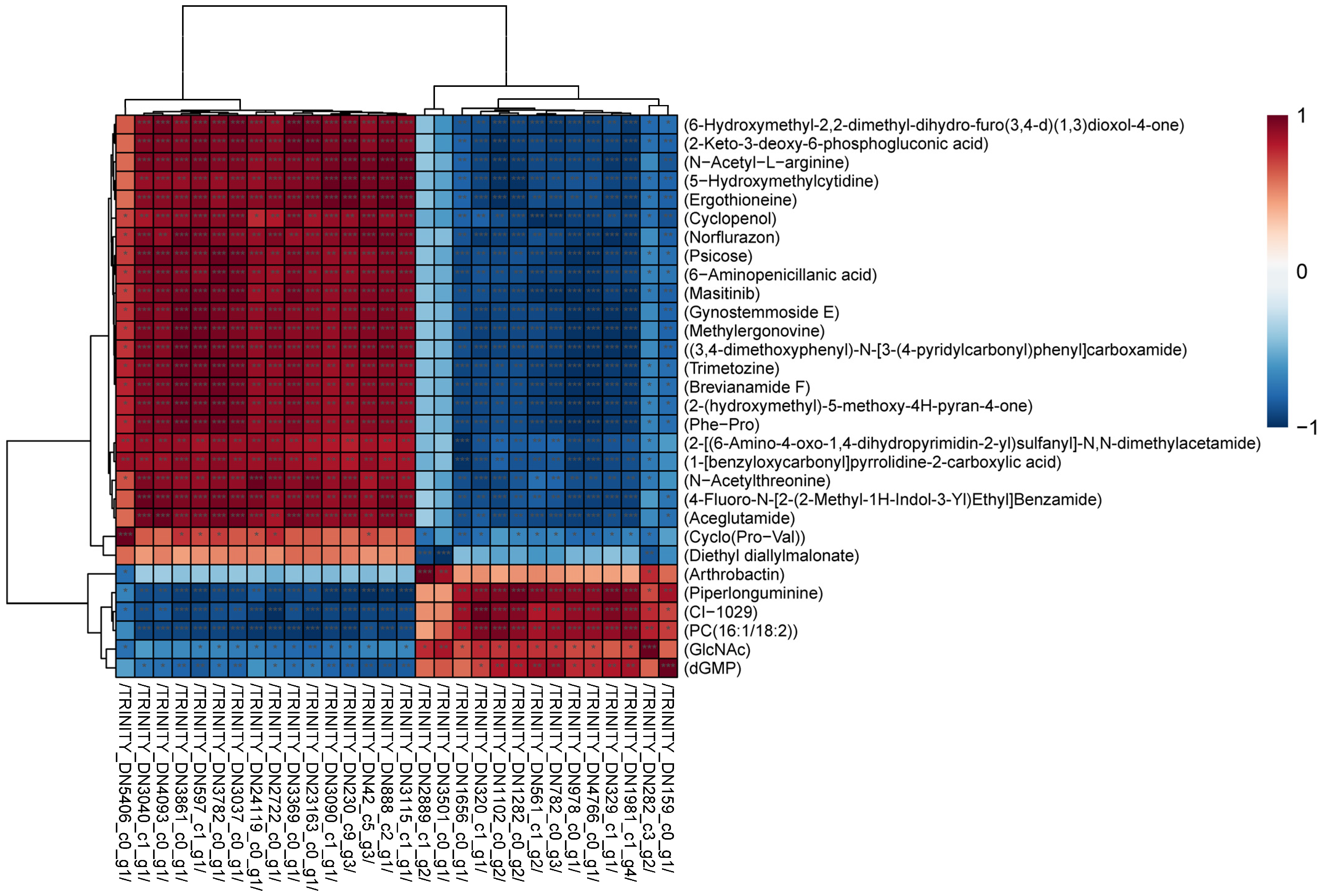 Antioxidants 13 00780 g013