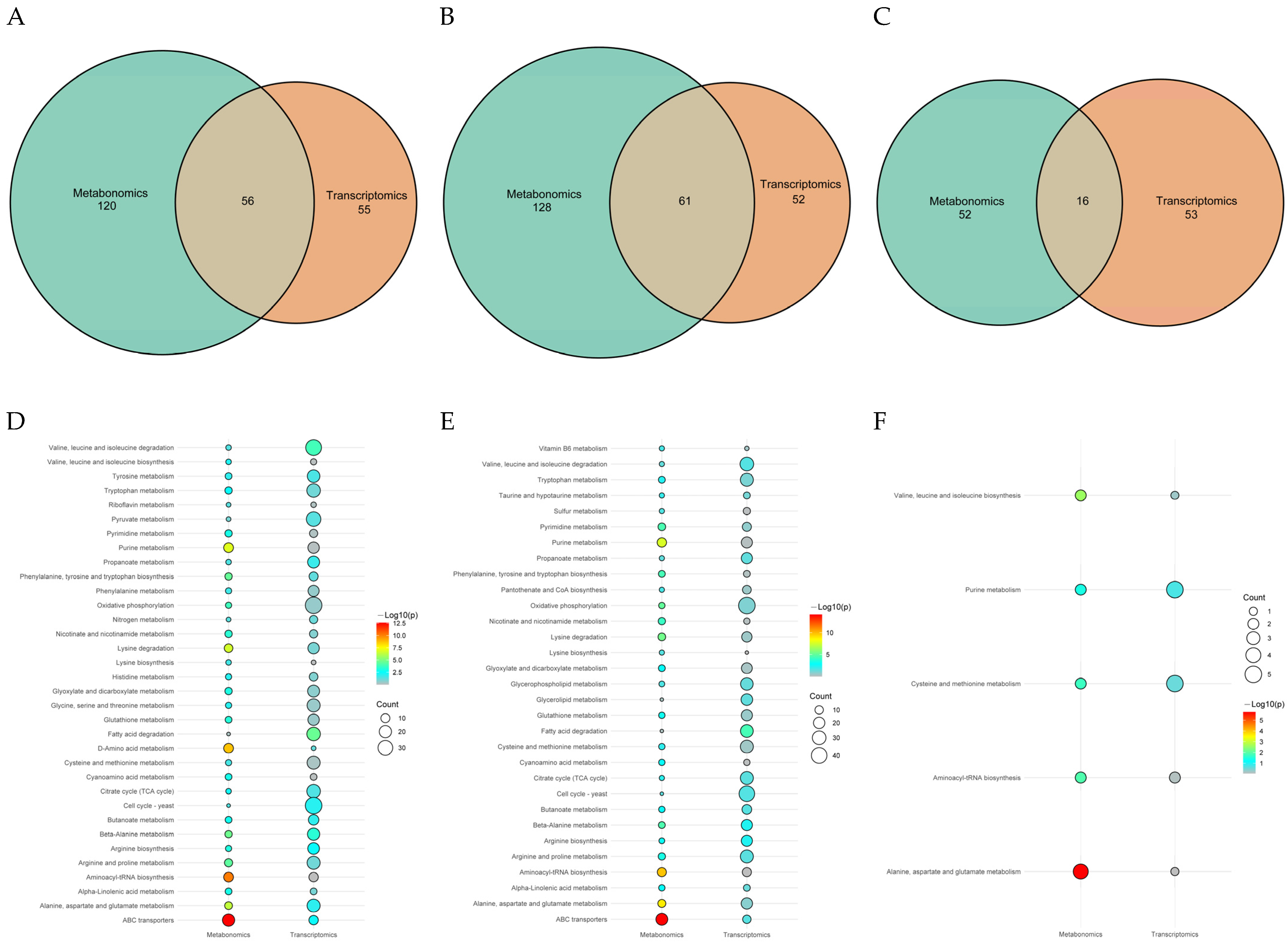 Antioxidants 13 00780 g014