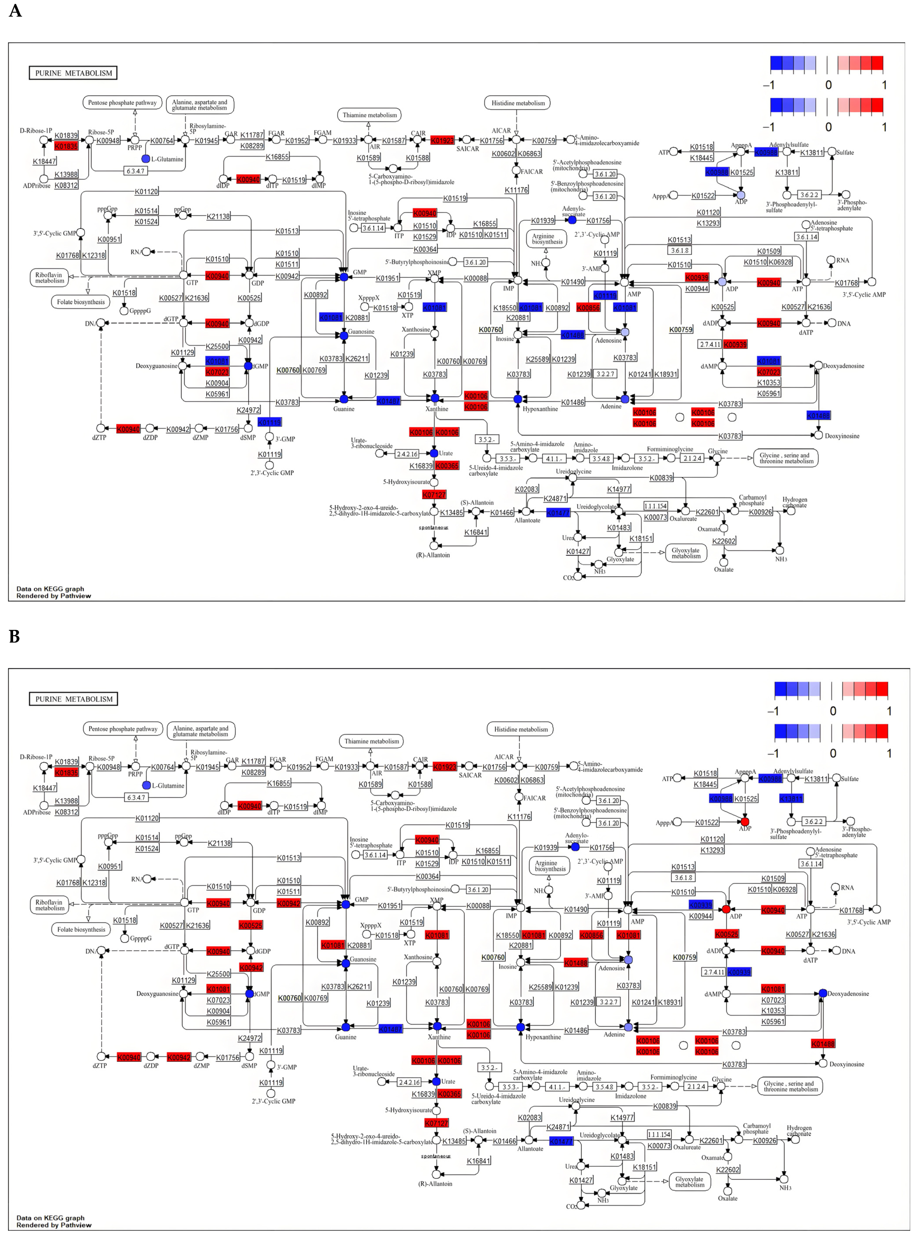 Antioxidants 13 00780 g015