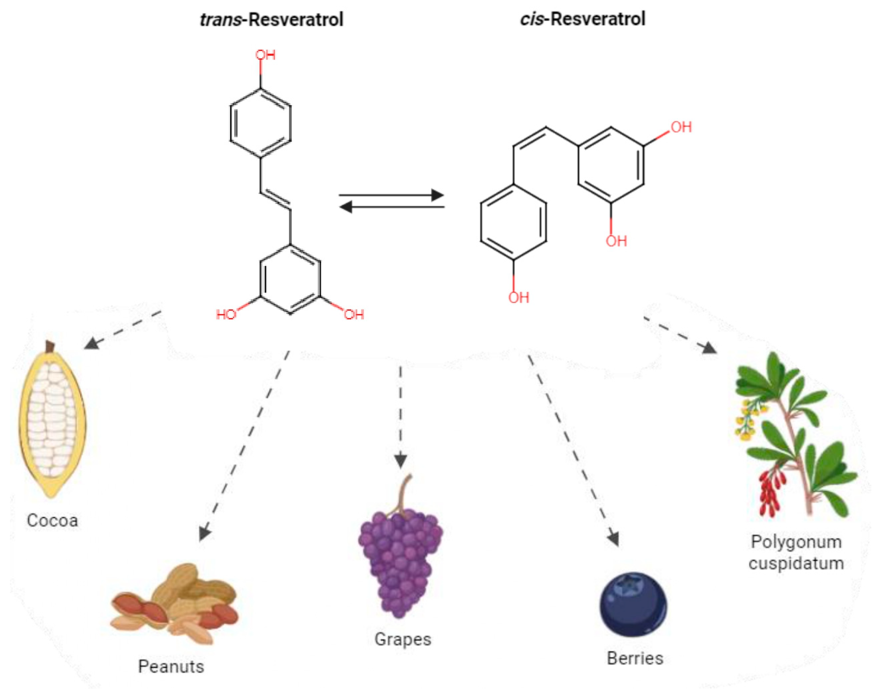 Antioxidants 13 00782 g001