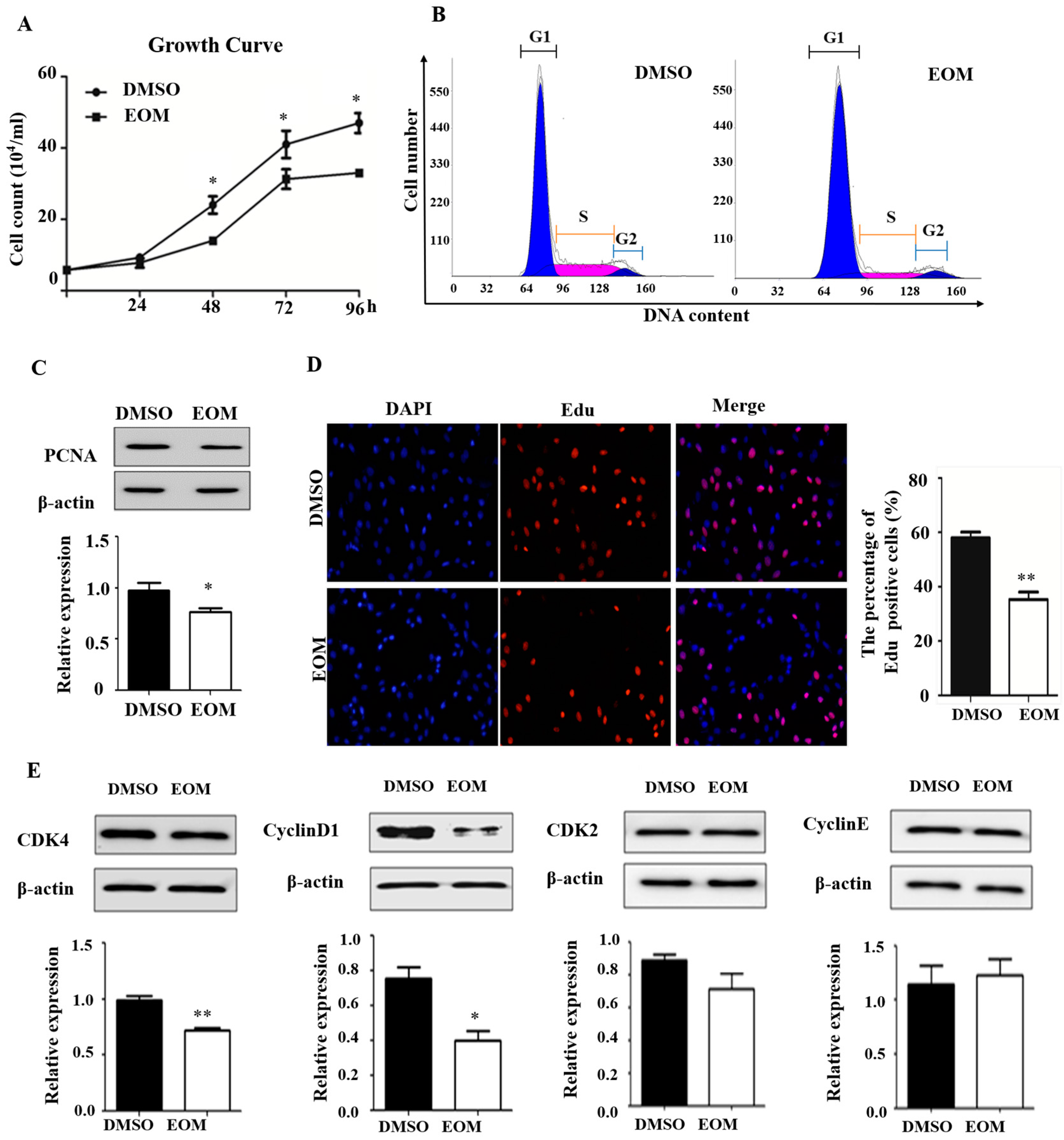 Antioxidants 13 00786 g002