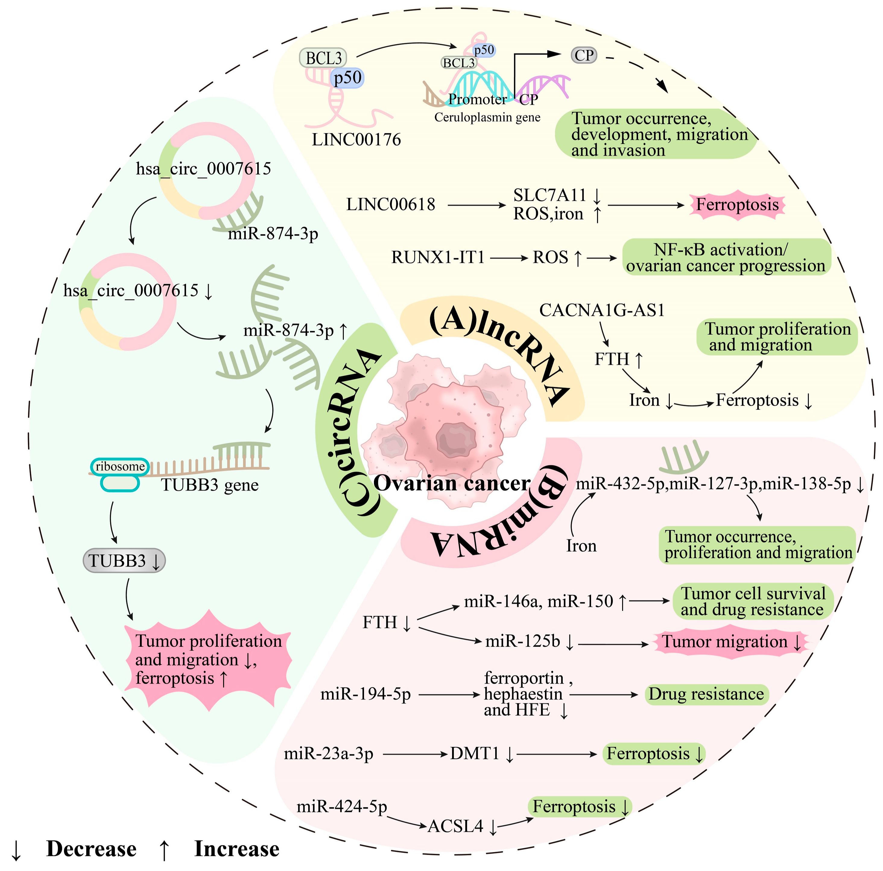 Antioxidants 13 00791 g003