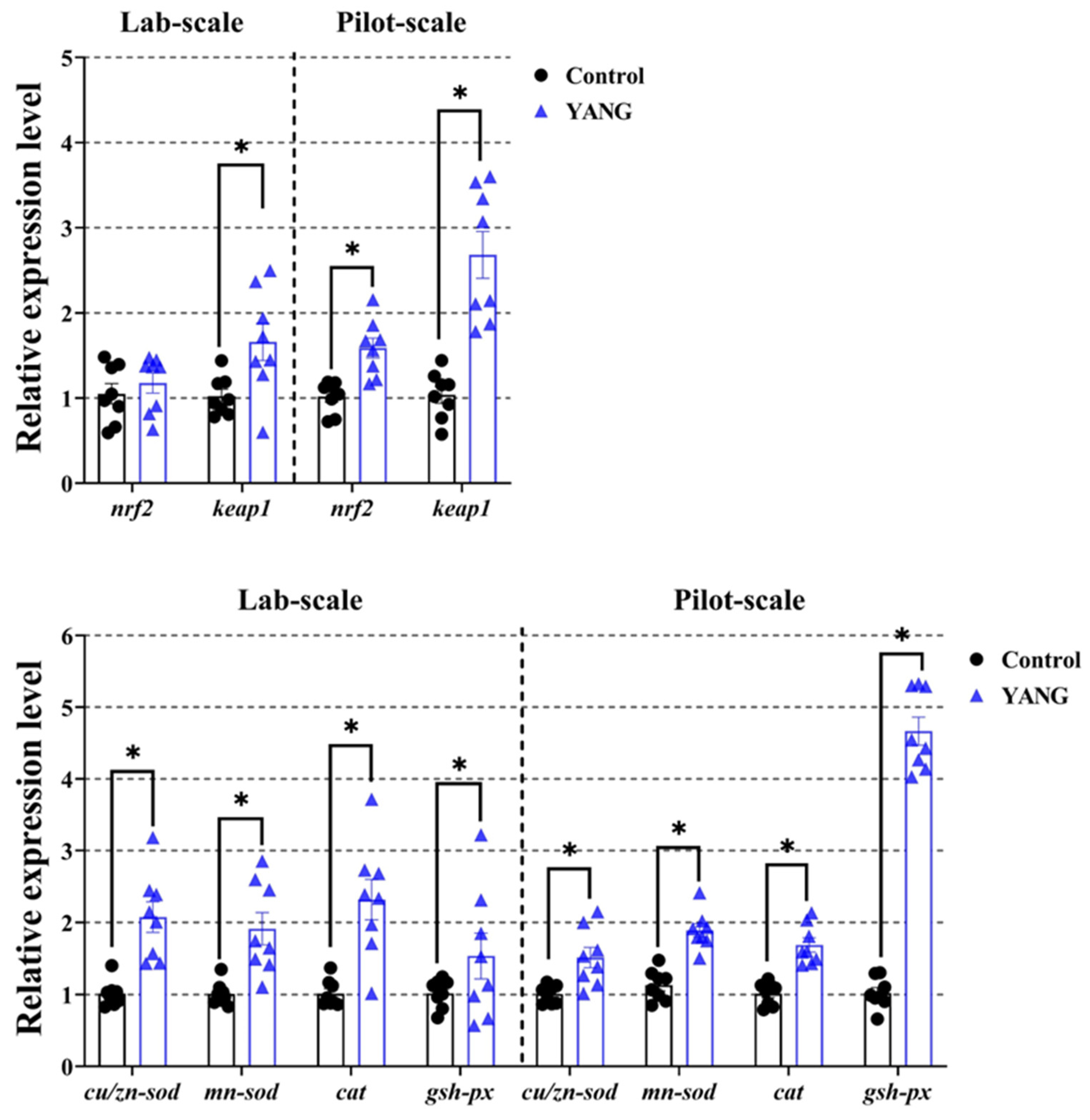 Antioxidants 13 00792 g005