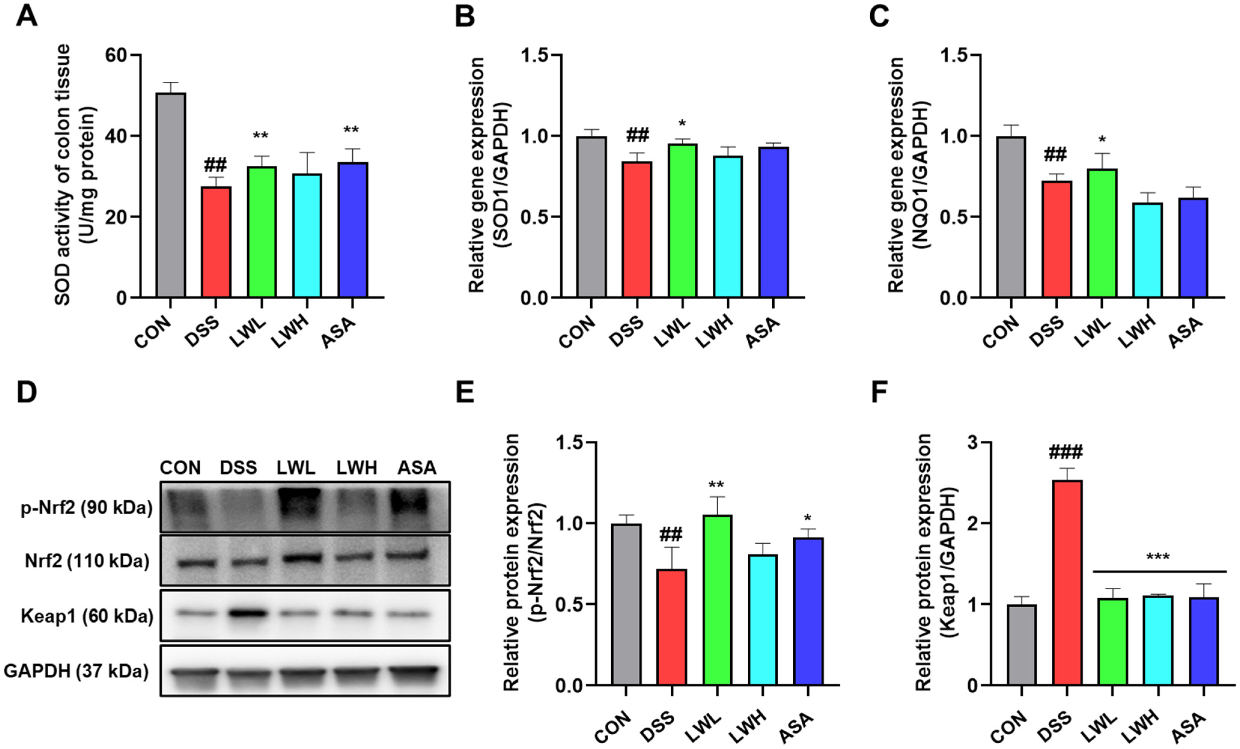 Antioxidants 13 00795 g007