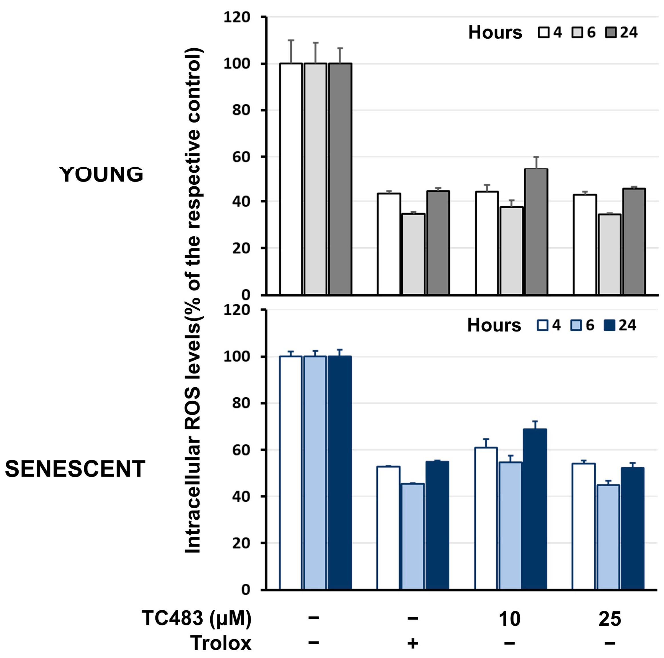 Antioxidants 13 00798 g007