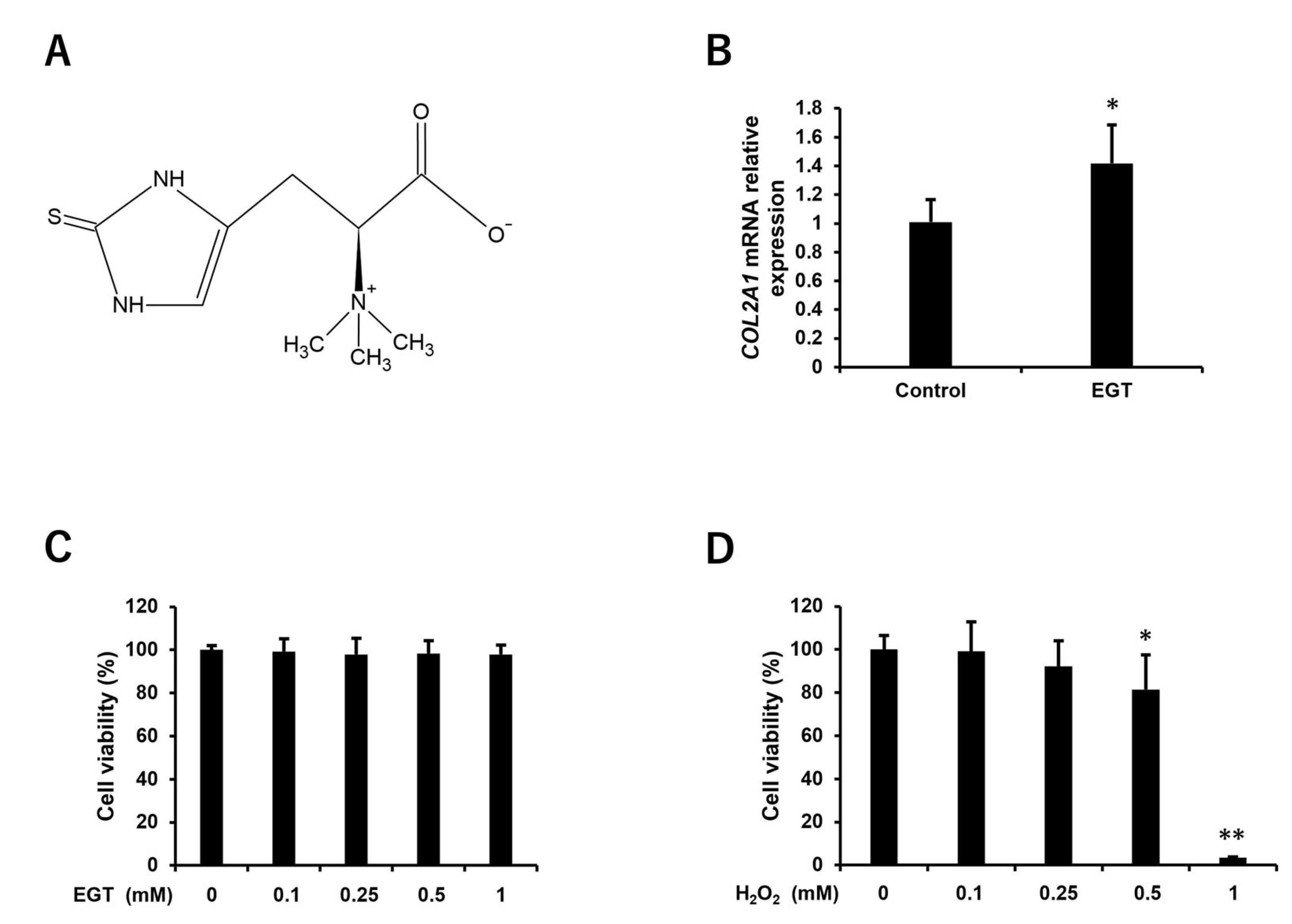 Antioxidants 13 00800 g001