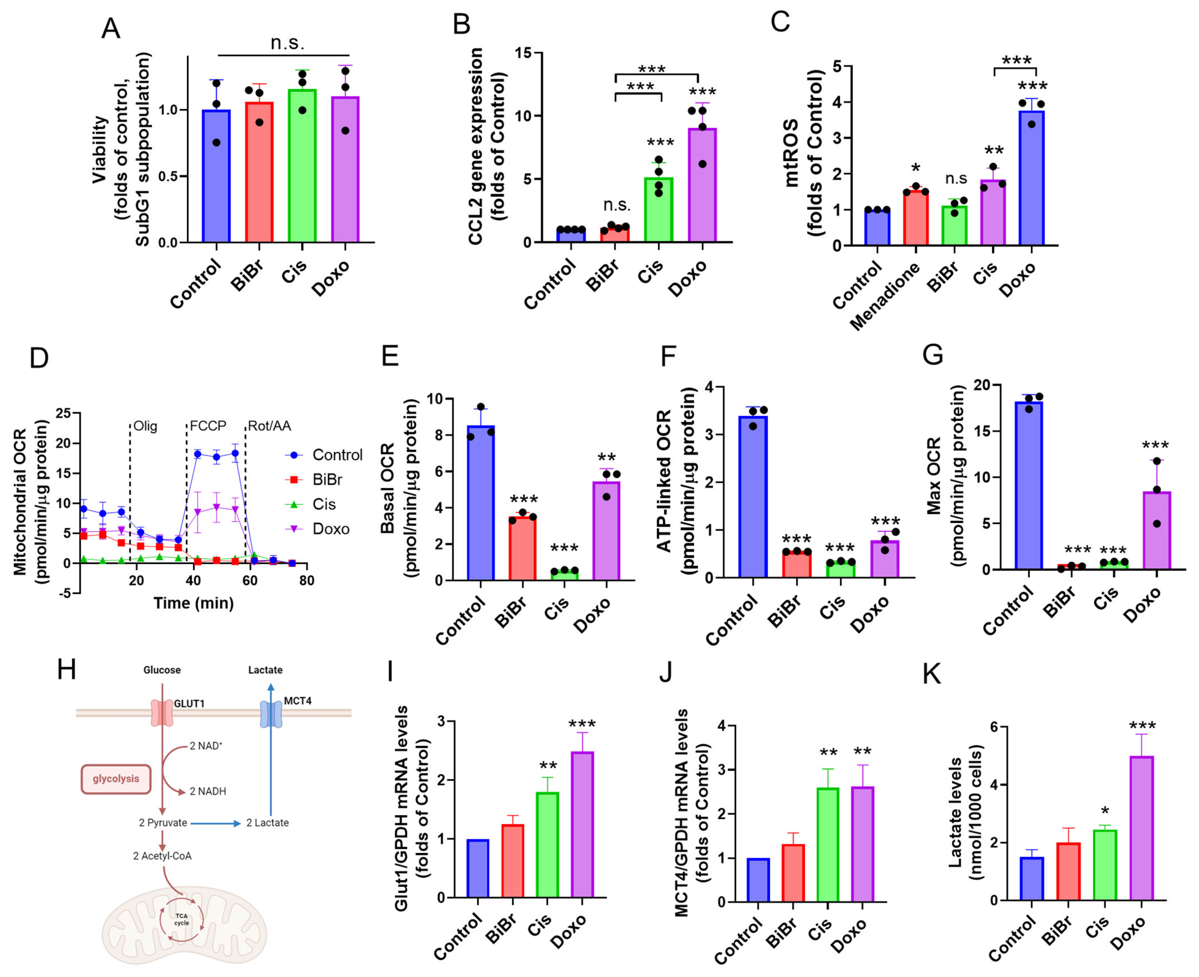Antioxidants 13 00801 g001