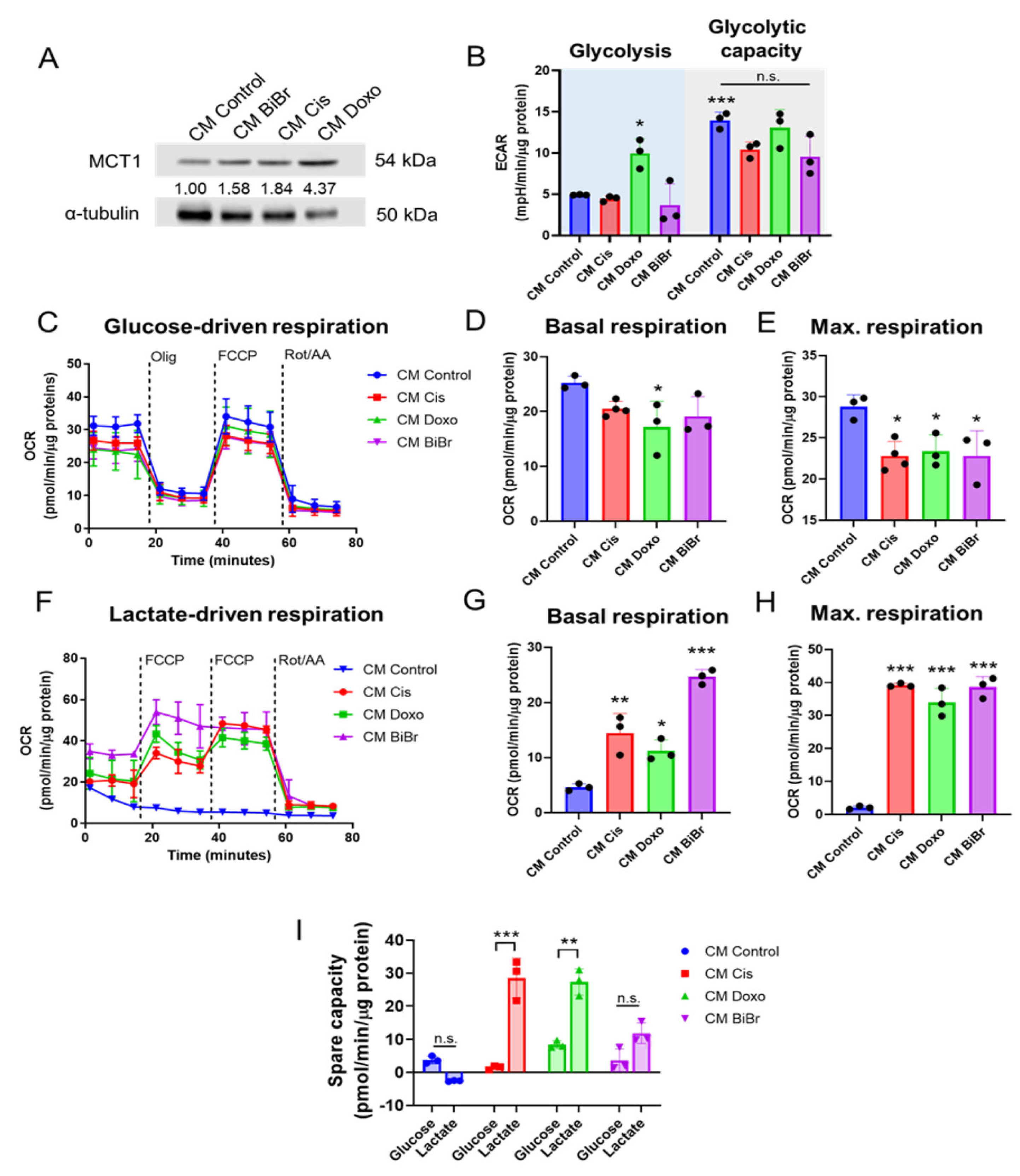 Antioxidants 13 00801 g003