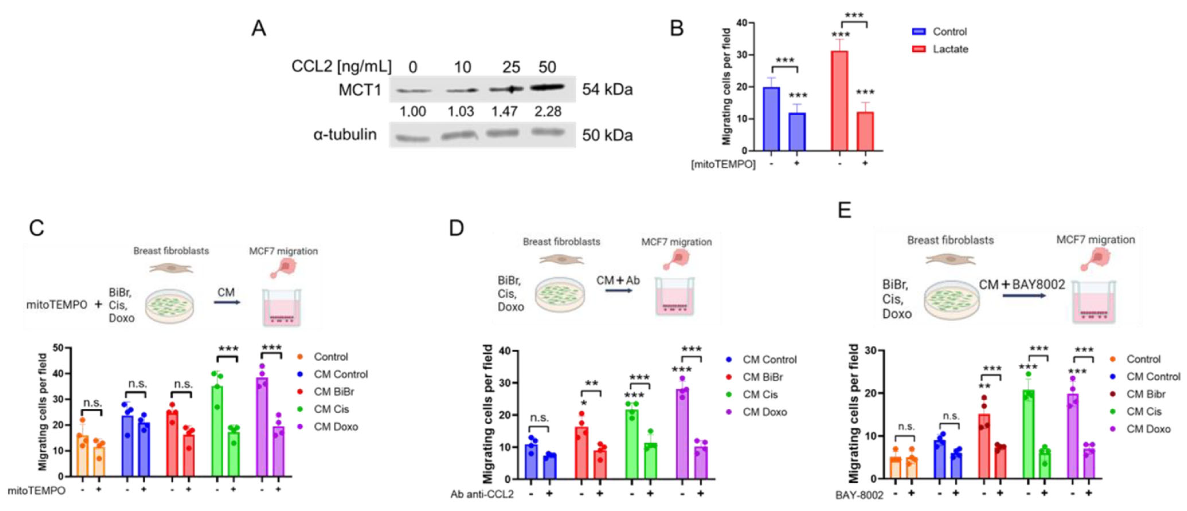 Antioxidants 13 00801 g004