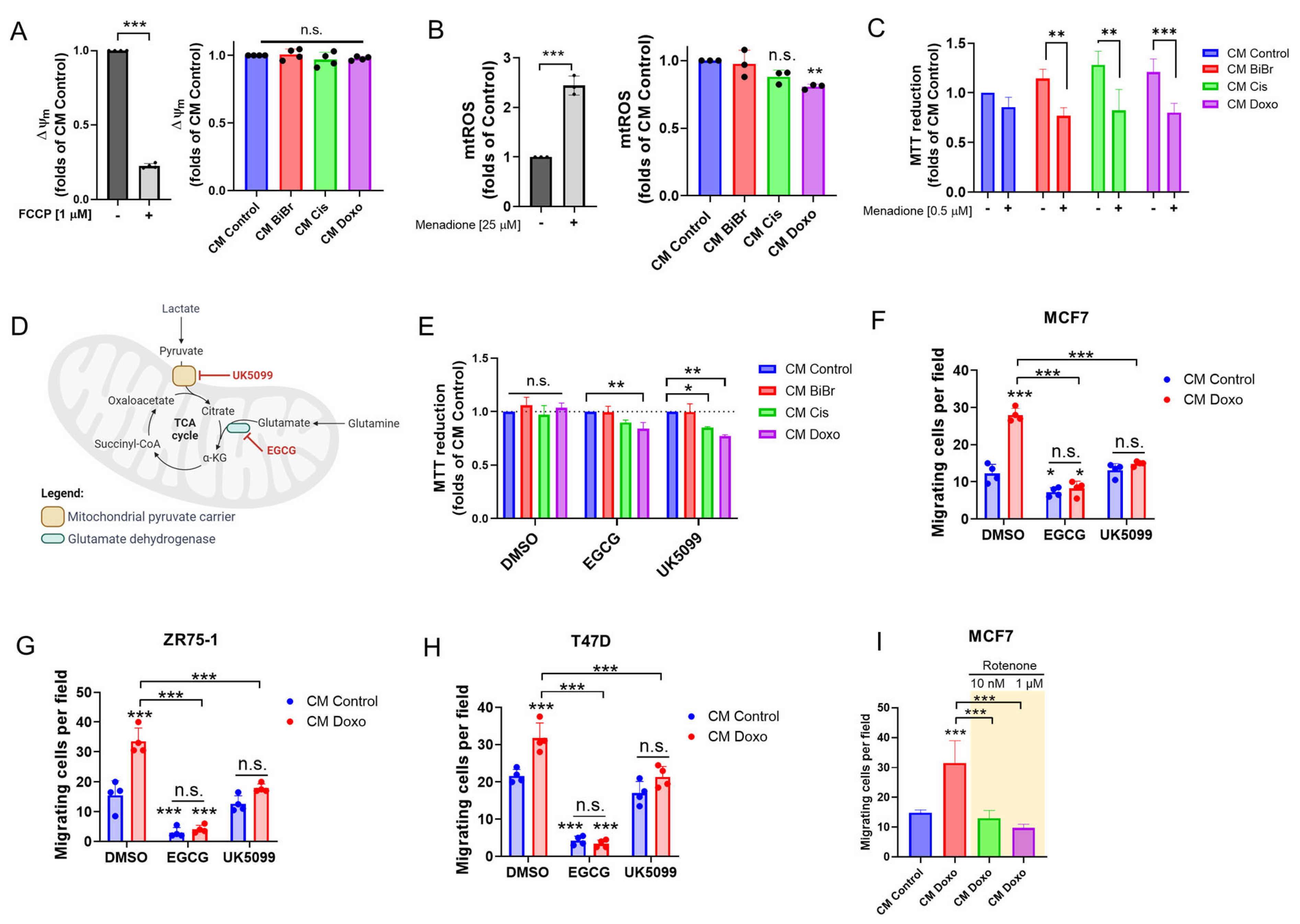 Antioxidants 13 00801 g005