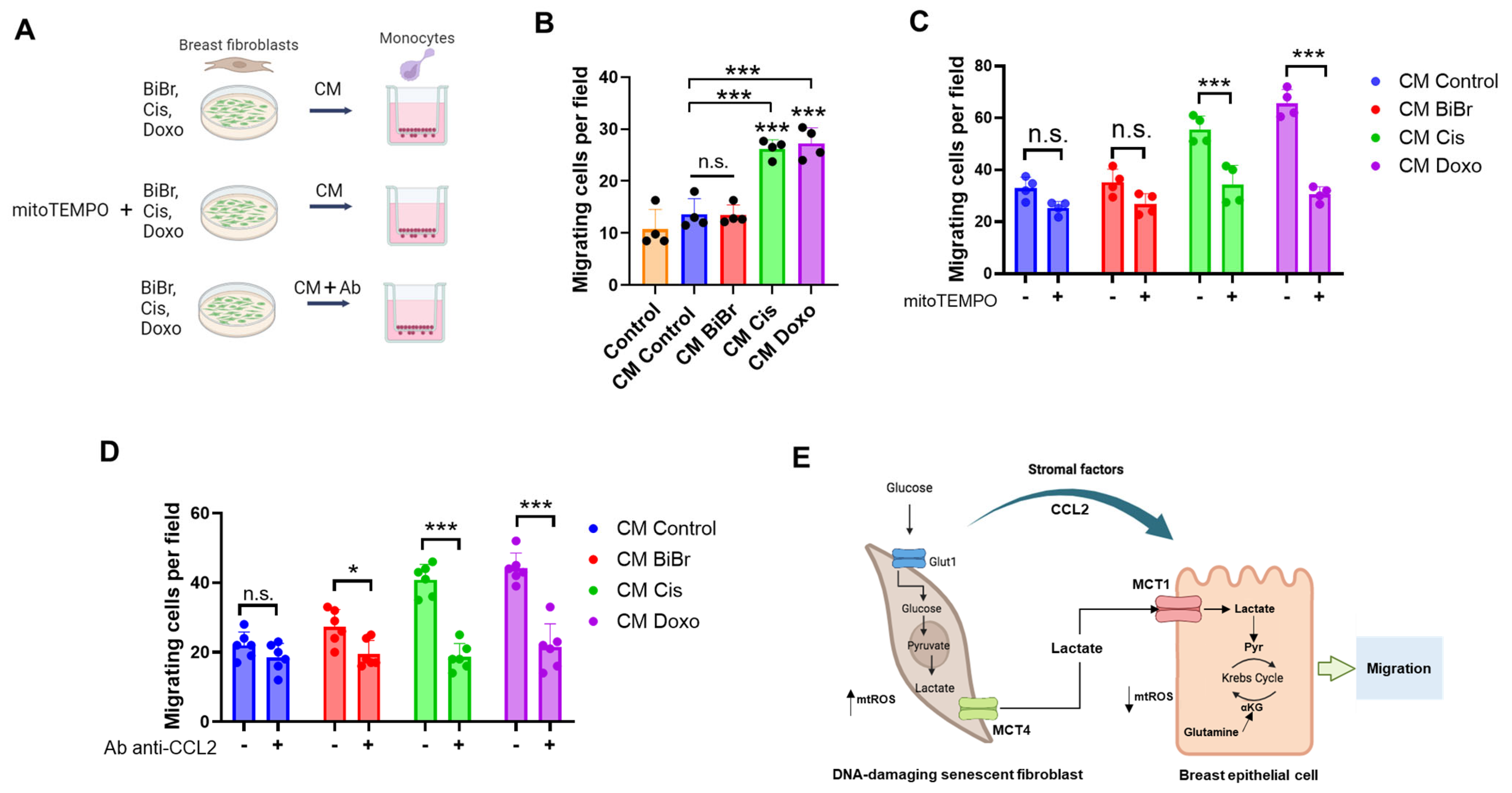 Antioxidants 13 00801 g006