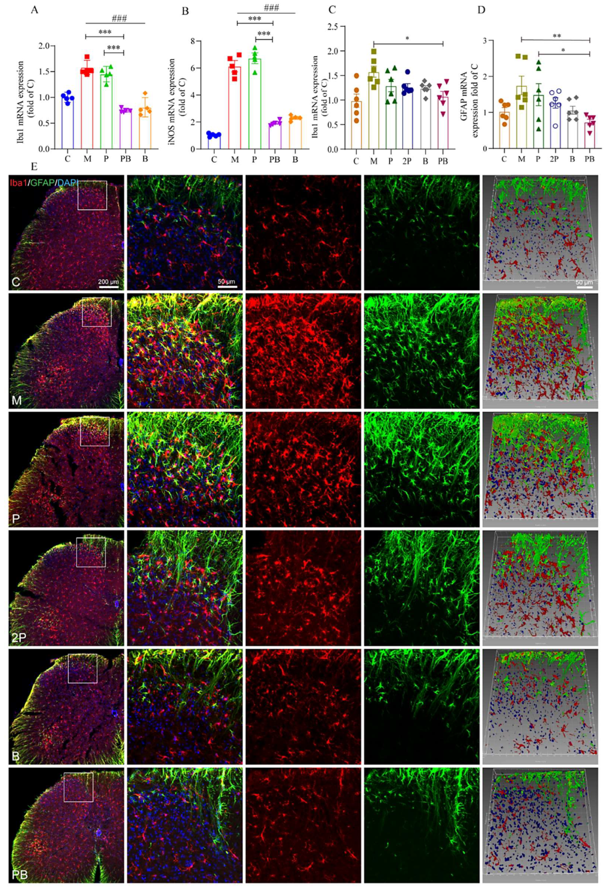 Antioxidants 13 00803 g005