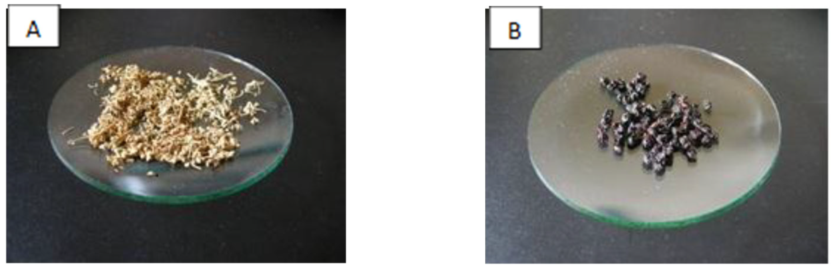Antioxidants 13 00804 g001