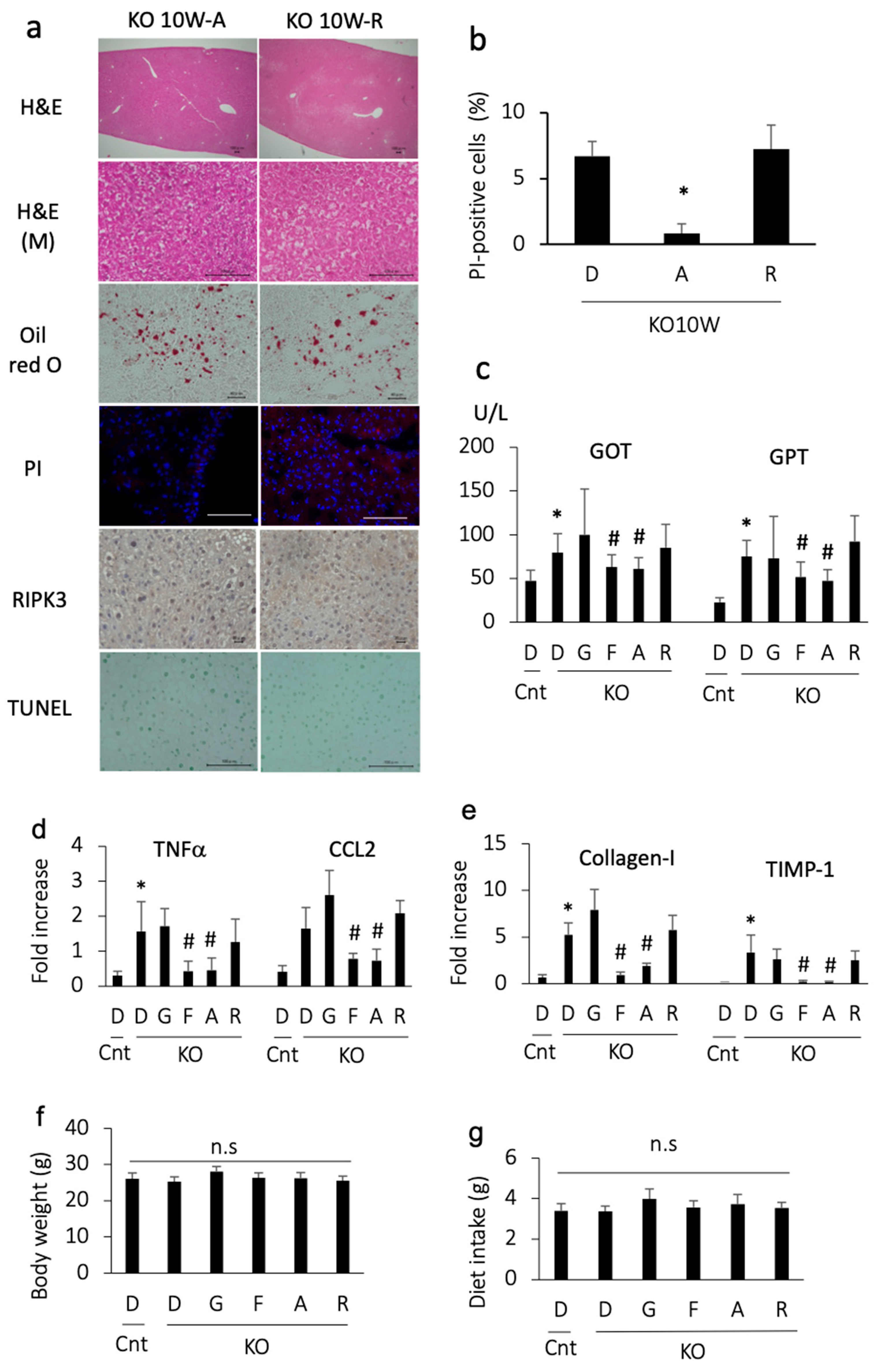 Antioxidants 13 00805 g002