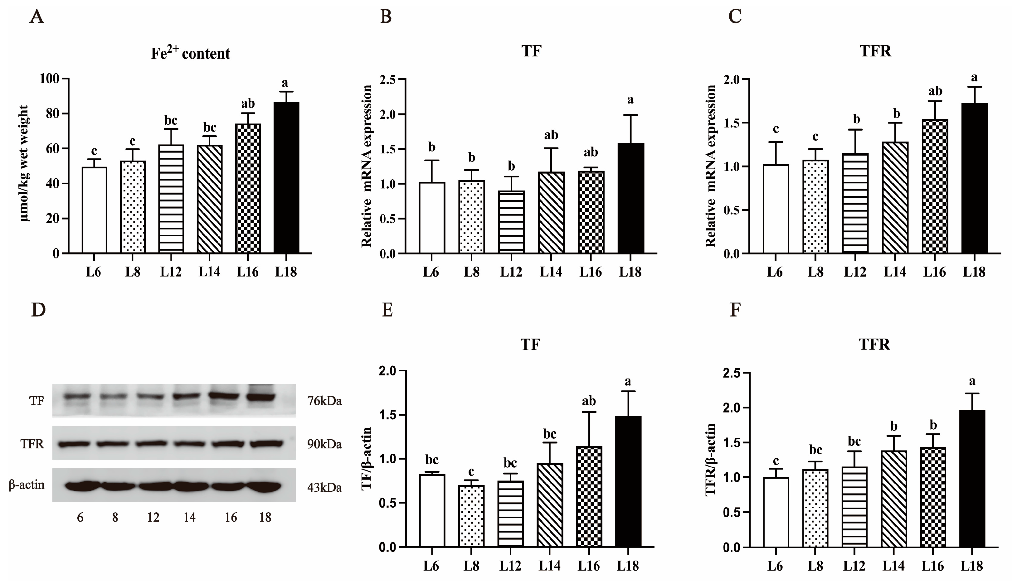 Antioxidants 13 00808 g004