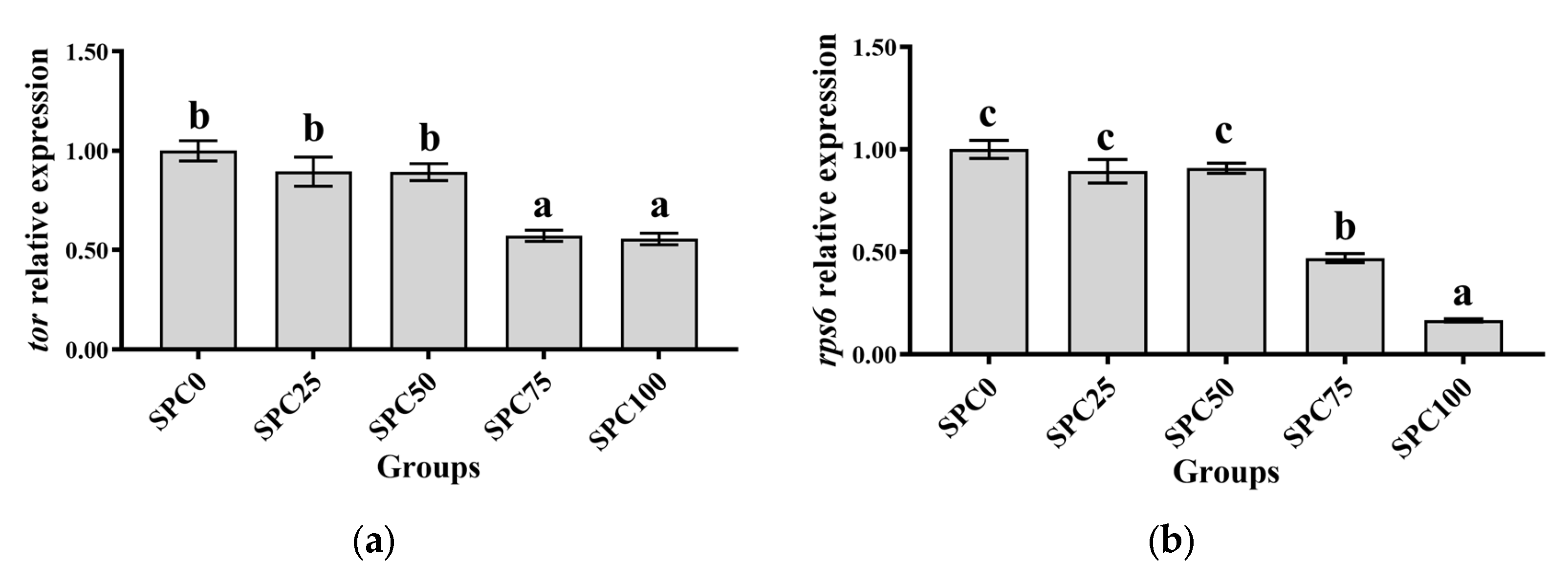 Antioxidants 13 00809 g001a
