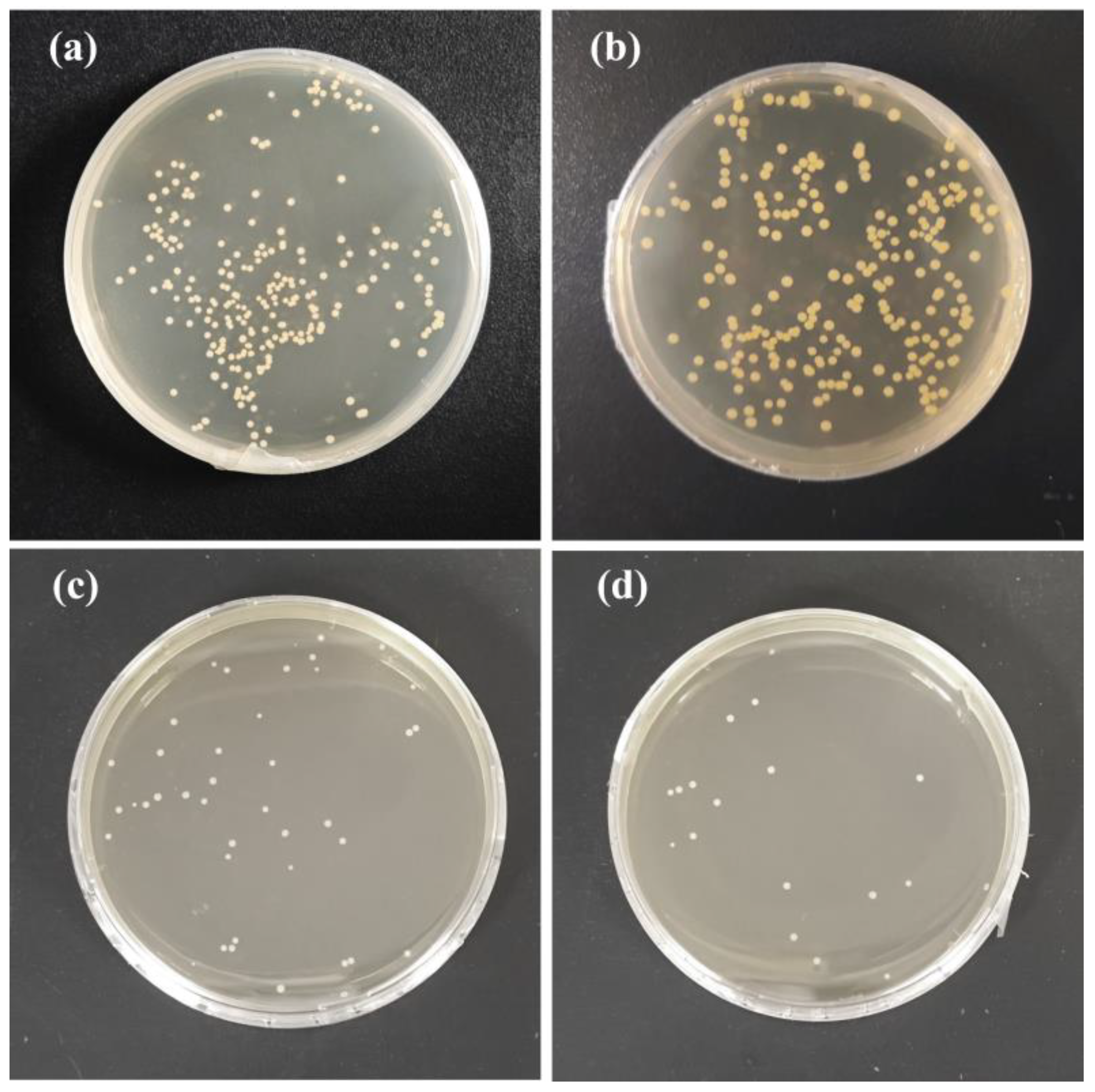 Antioxidants 13 00810 g011