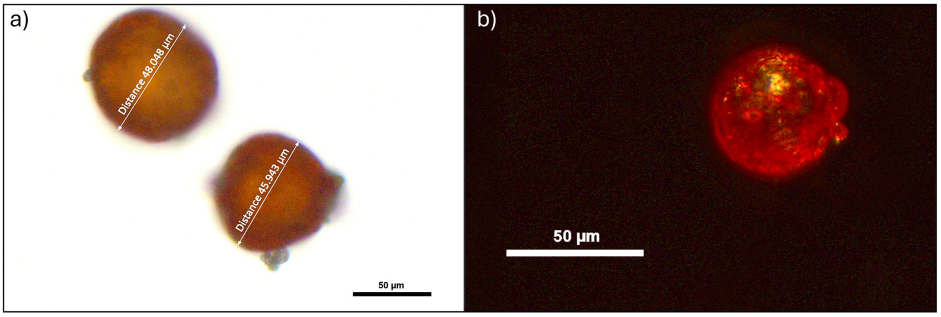 Antioxidants 13 00812 g001
