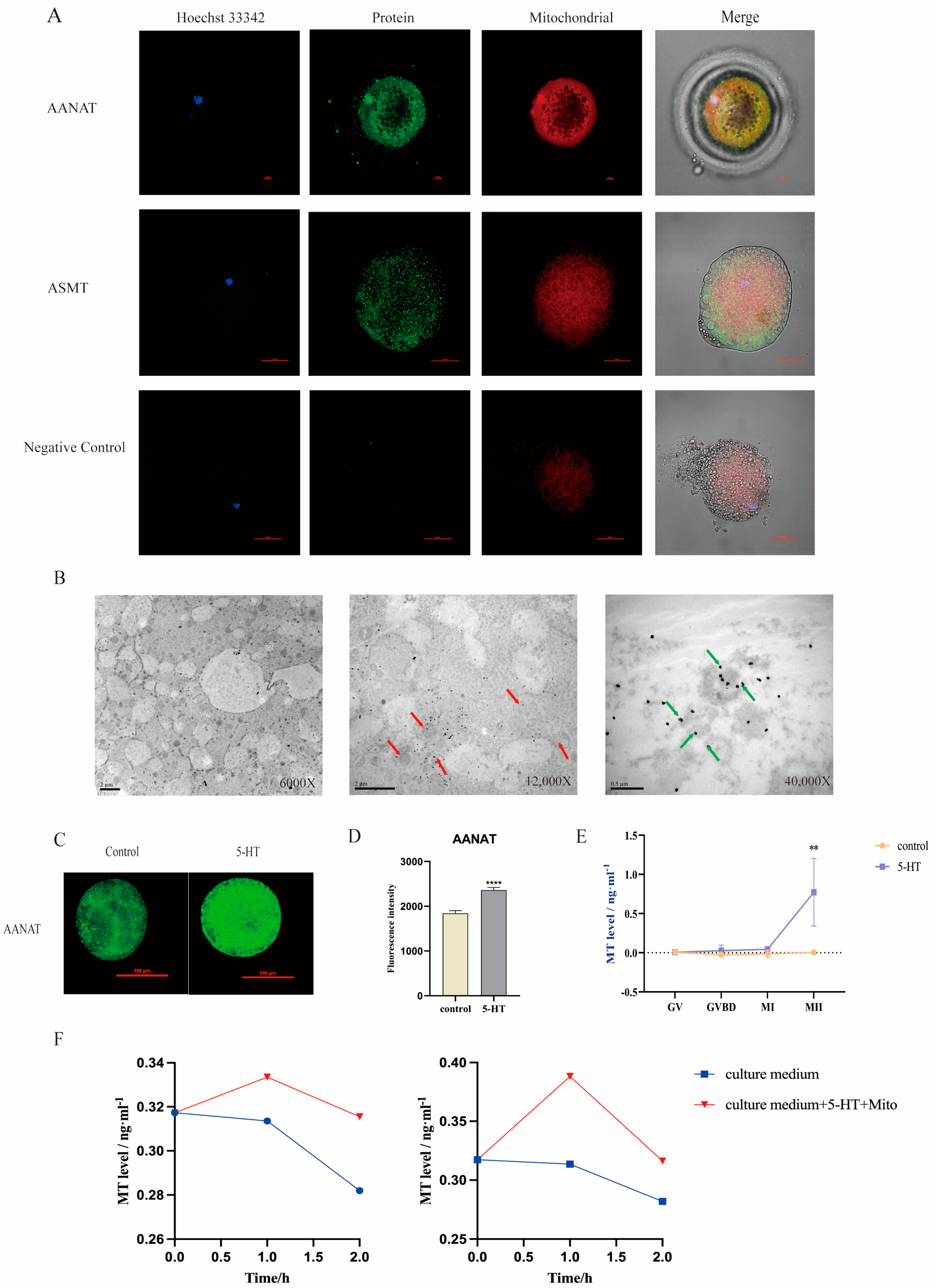 Antioxidants 13 00814 g001
