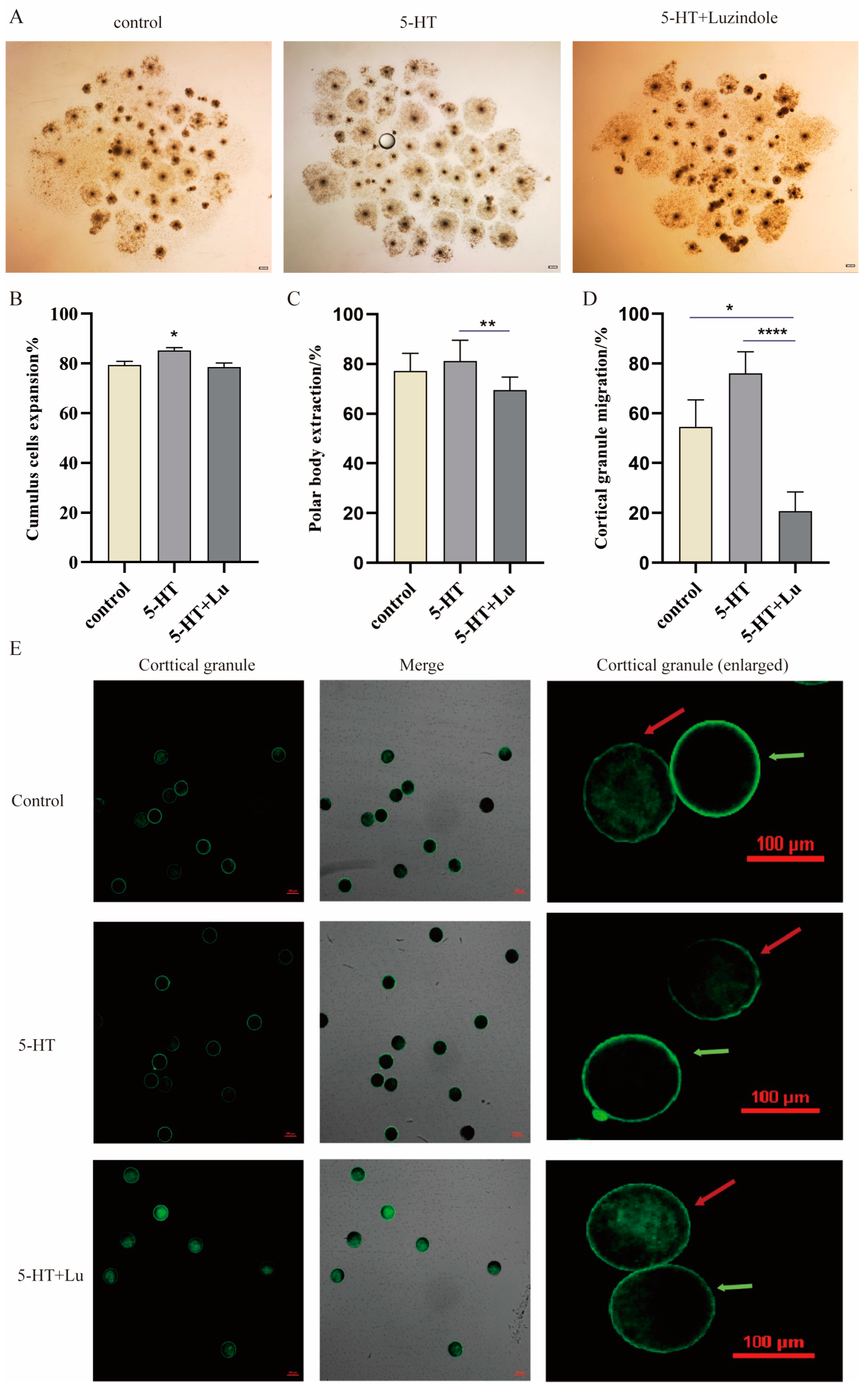 Antioxidants 13 00814 g002