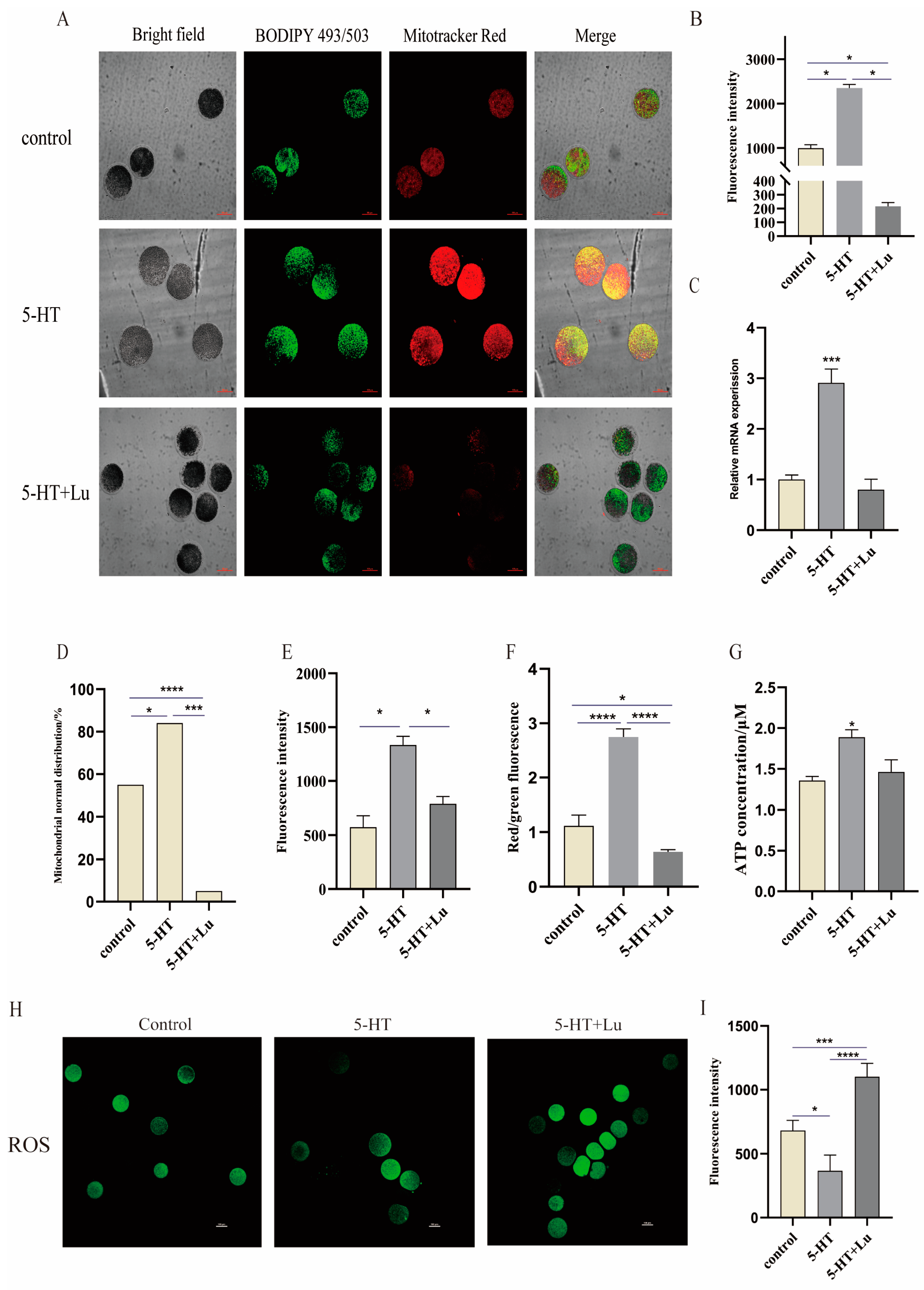 Antioxidants 13 00814 g003