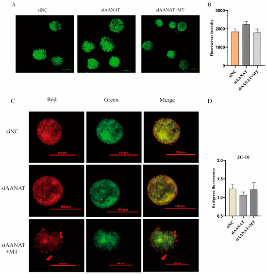 Antioxidants 13 00814 g0a2