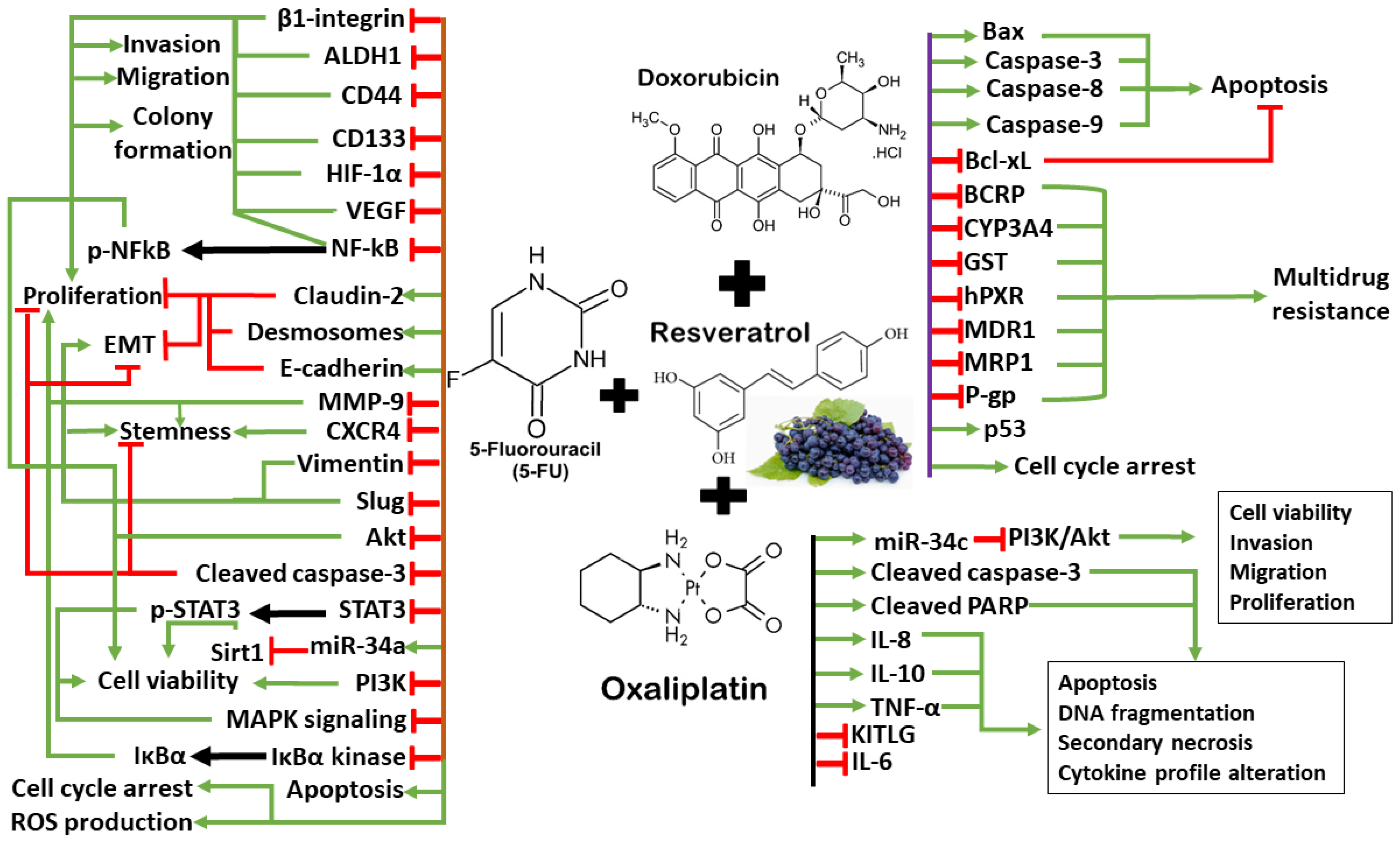 Antioxidants 13 00815 g002