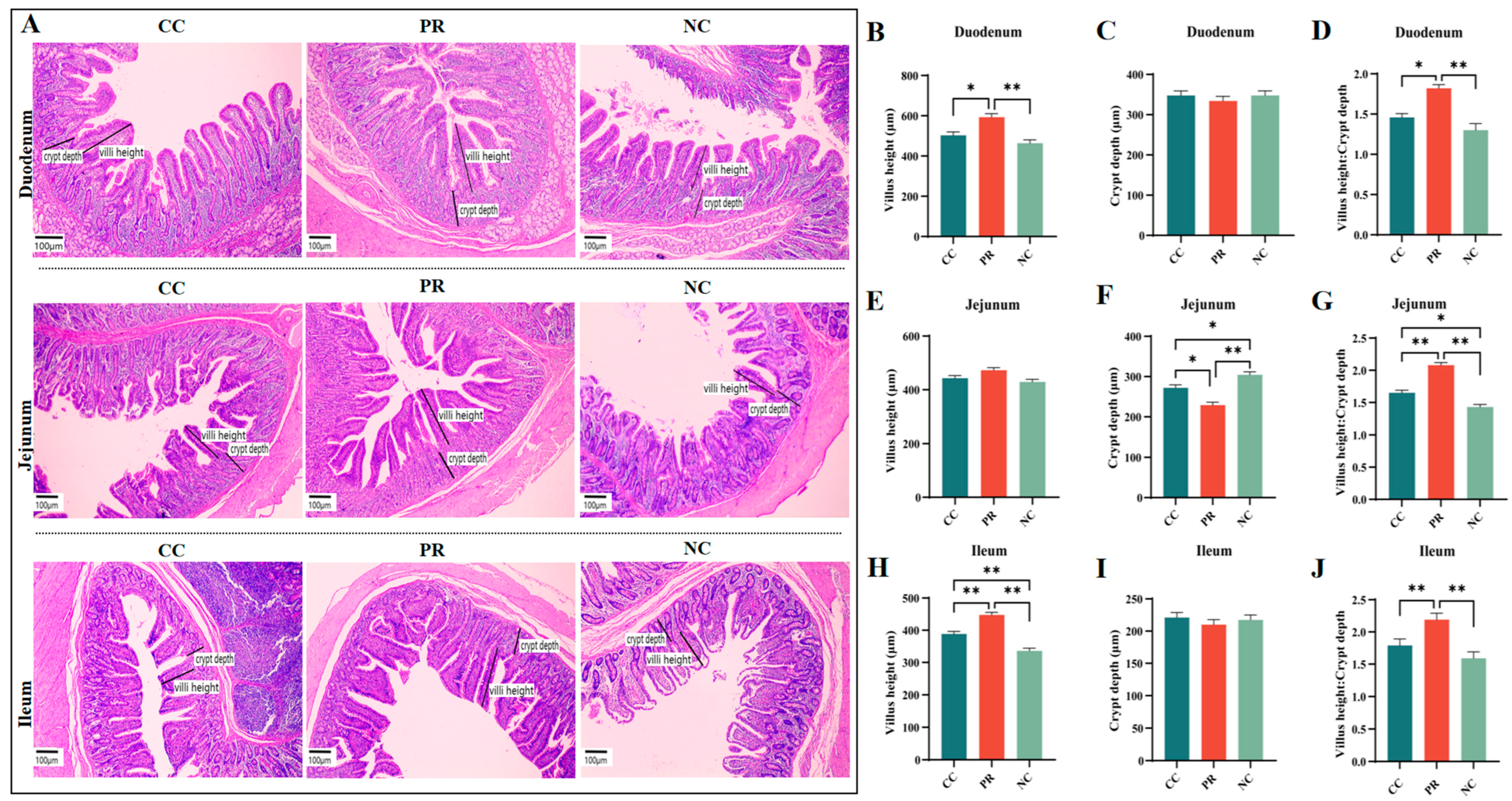 Antioxidants 13 00816 g003