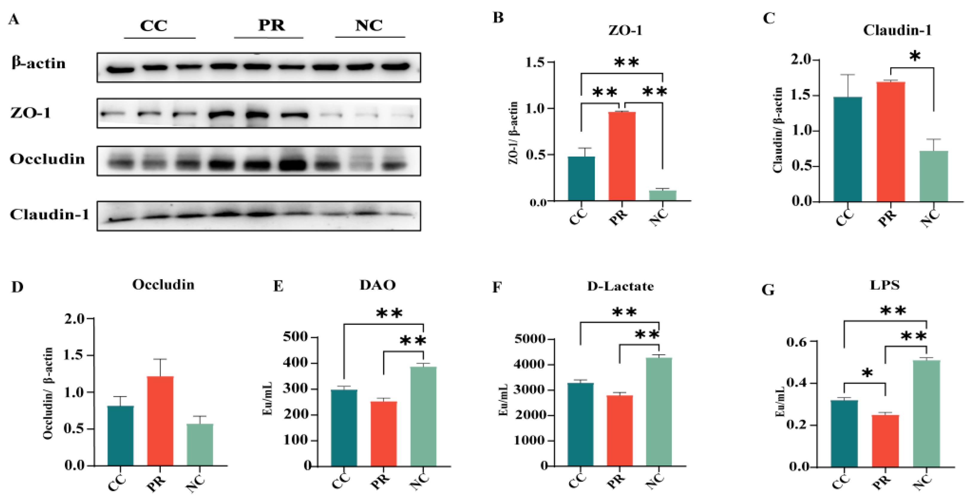 Antioxidants 13 00816 g004