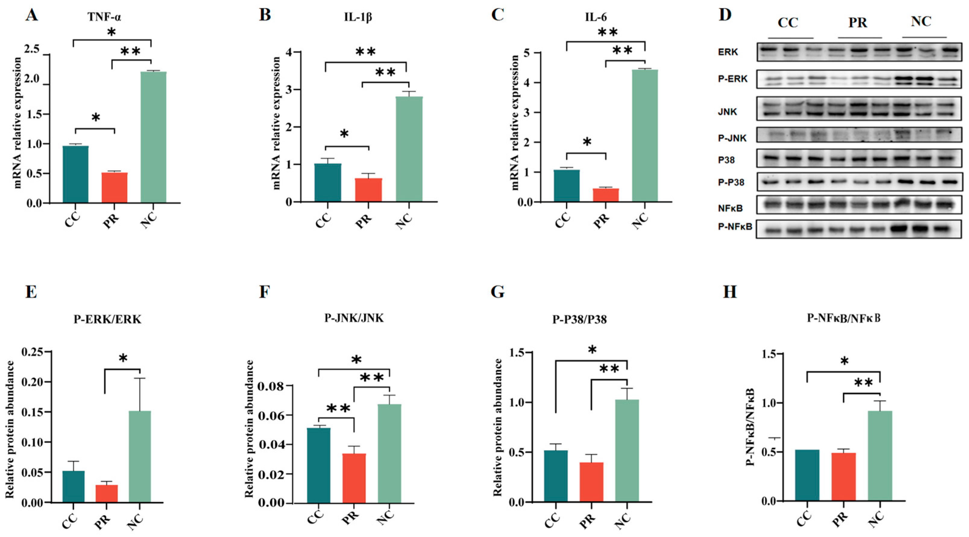 Antioxidants 13 00816 g005