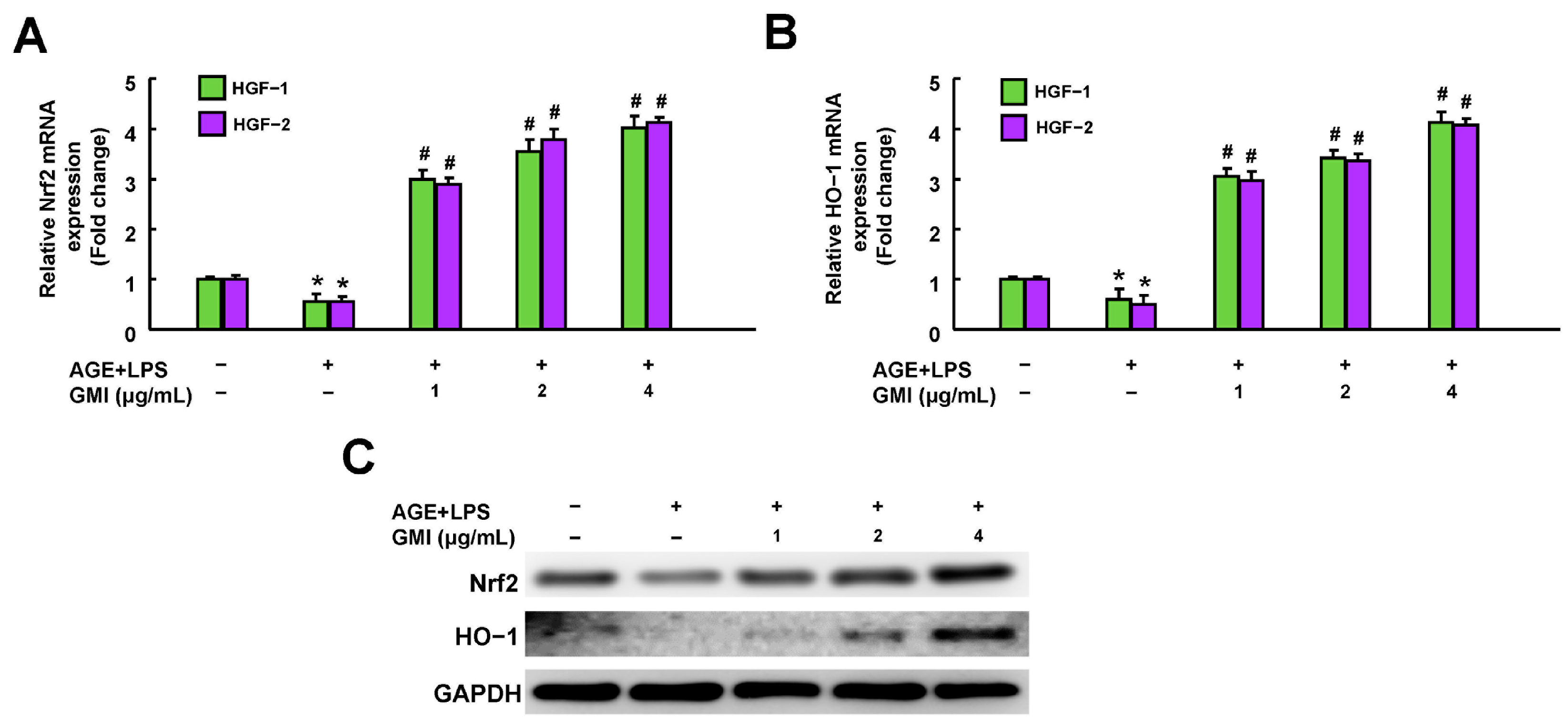 Antioxidants 13 00817 g005