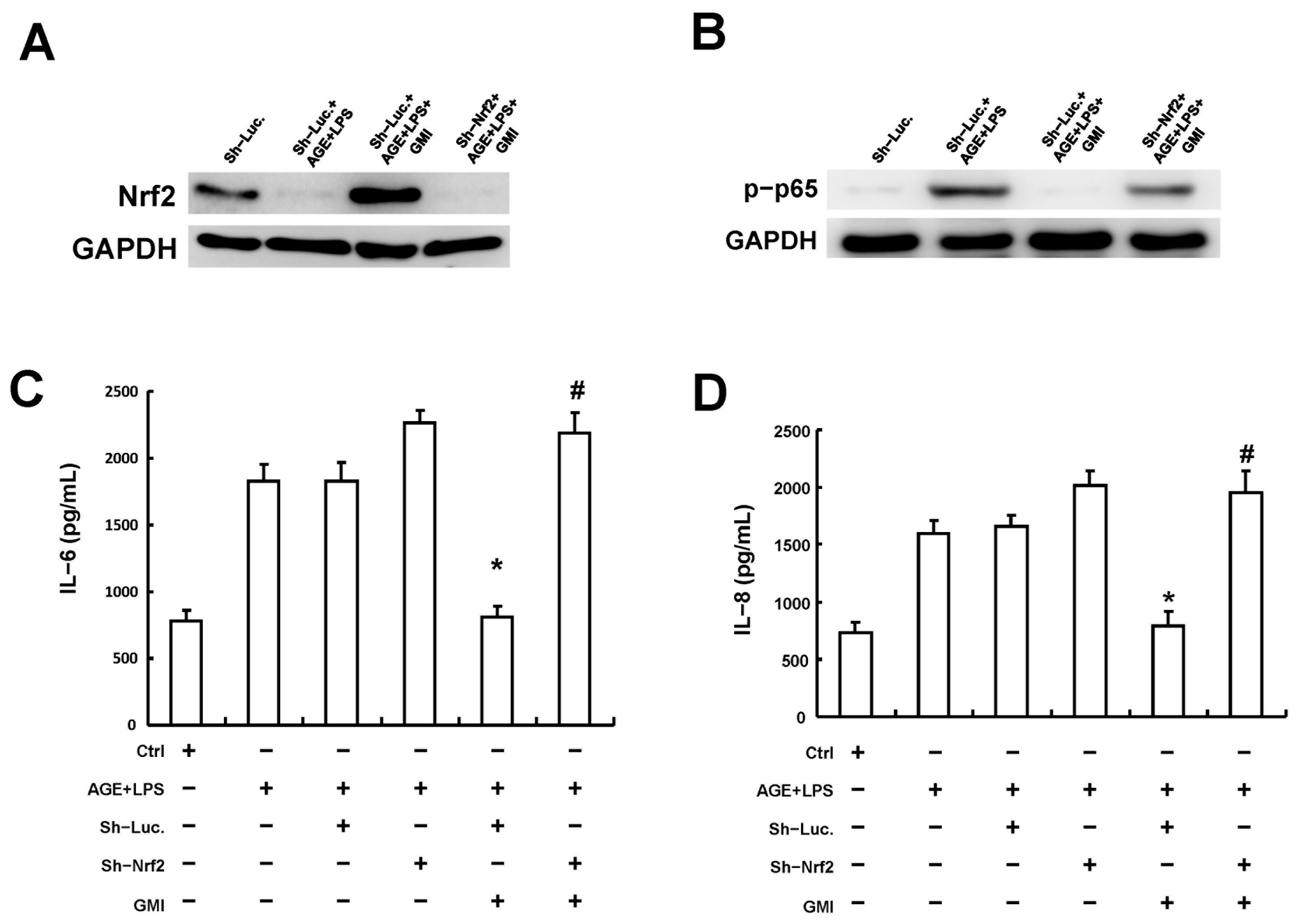 Antioxidants 13 00817 g006