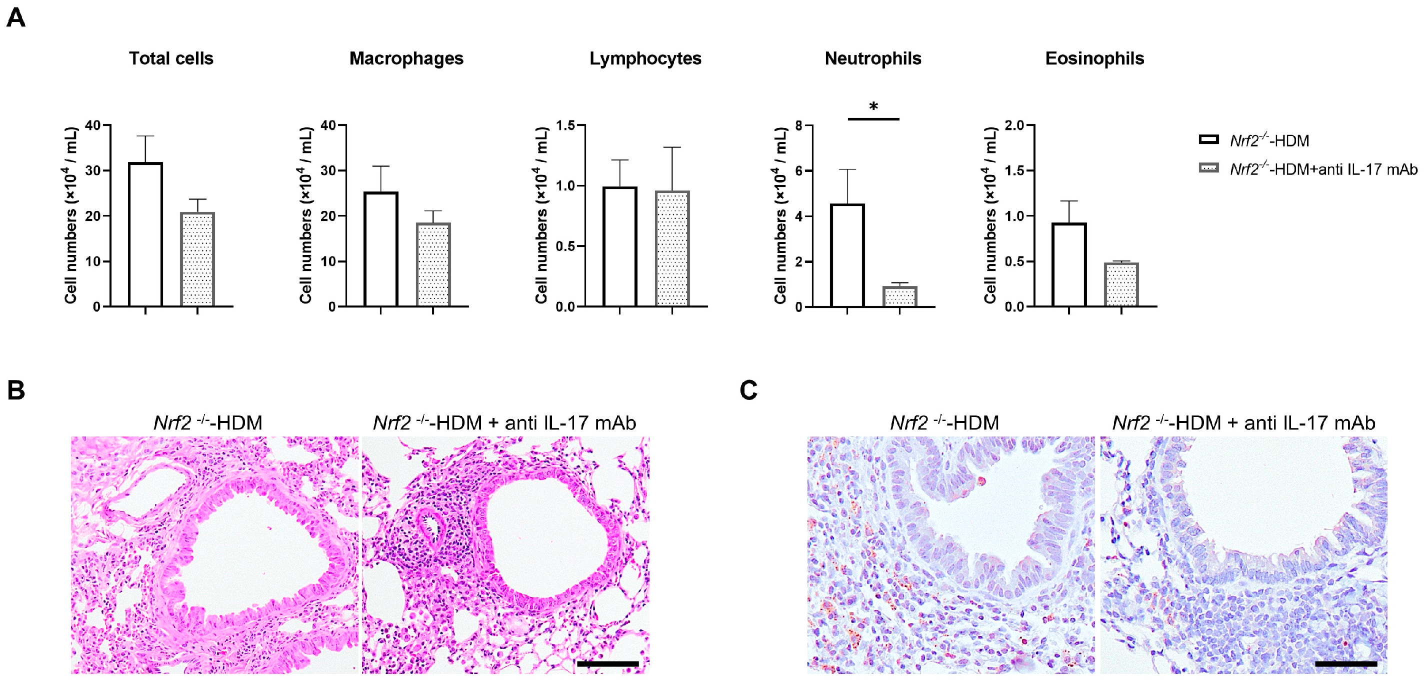 Antioxidants 13 00818 g006