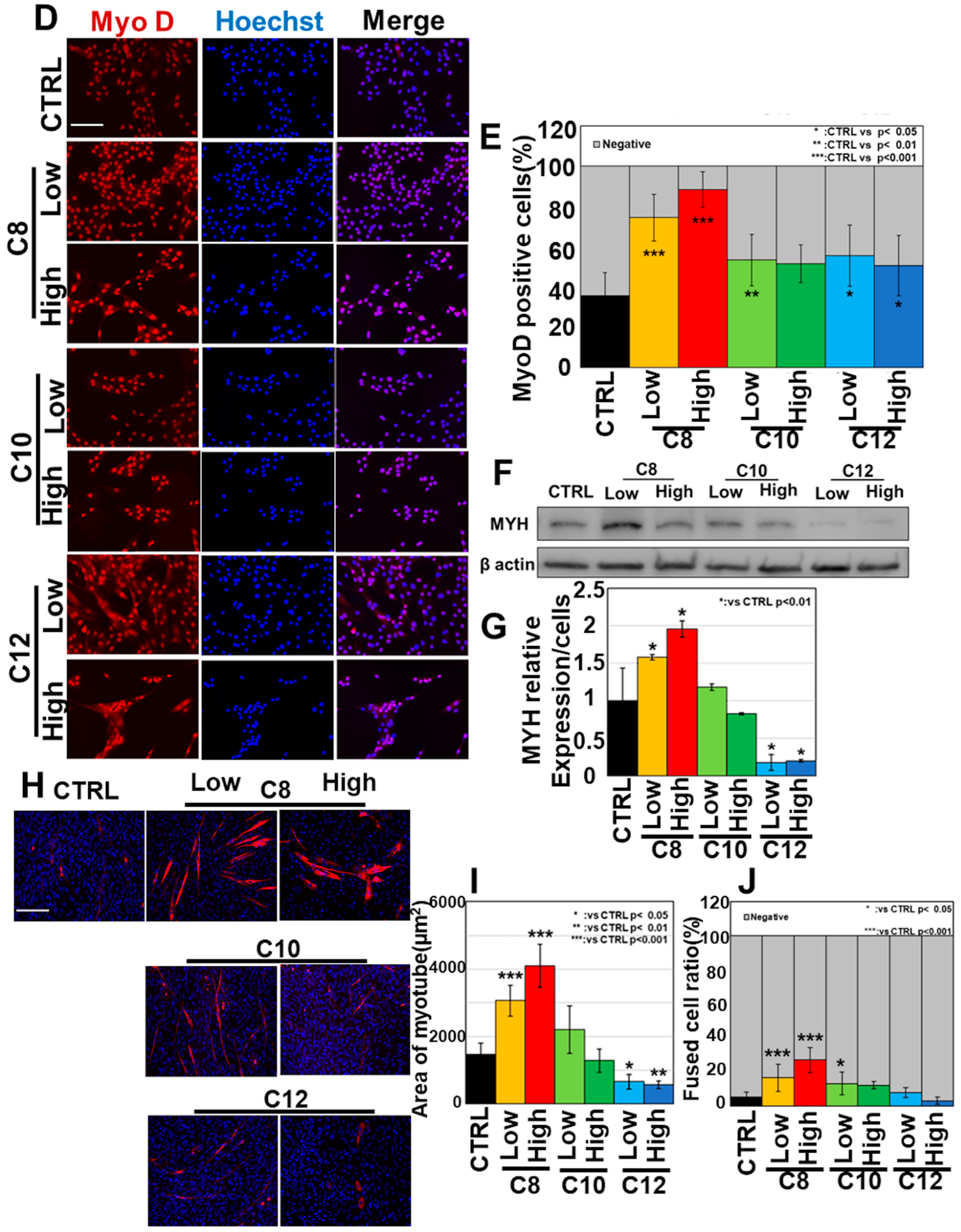 Antioxidants 13 00821 g001b
