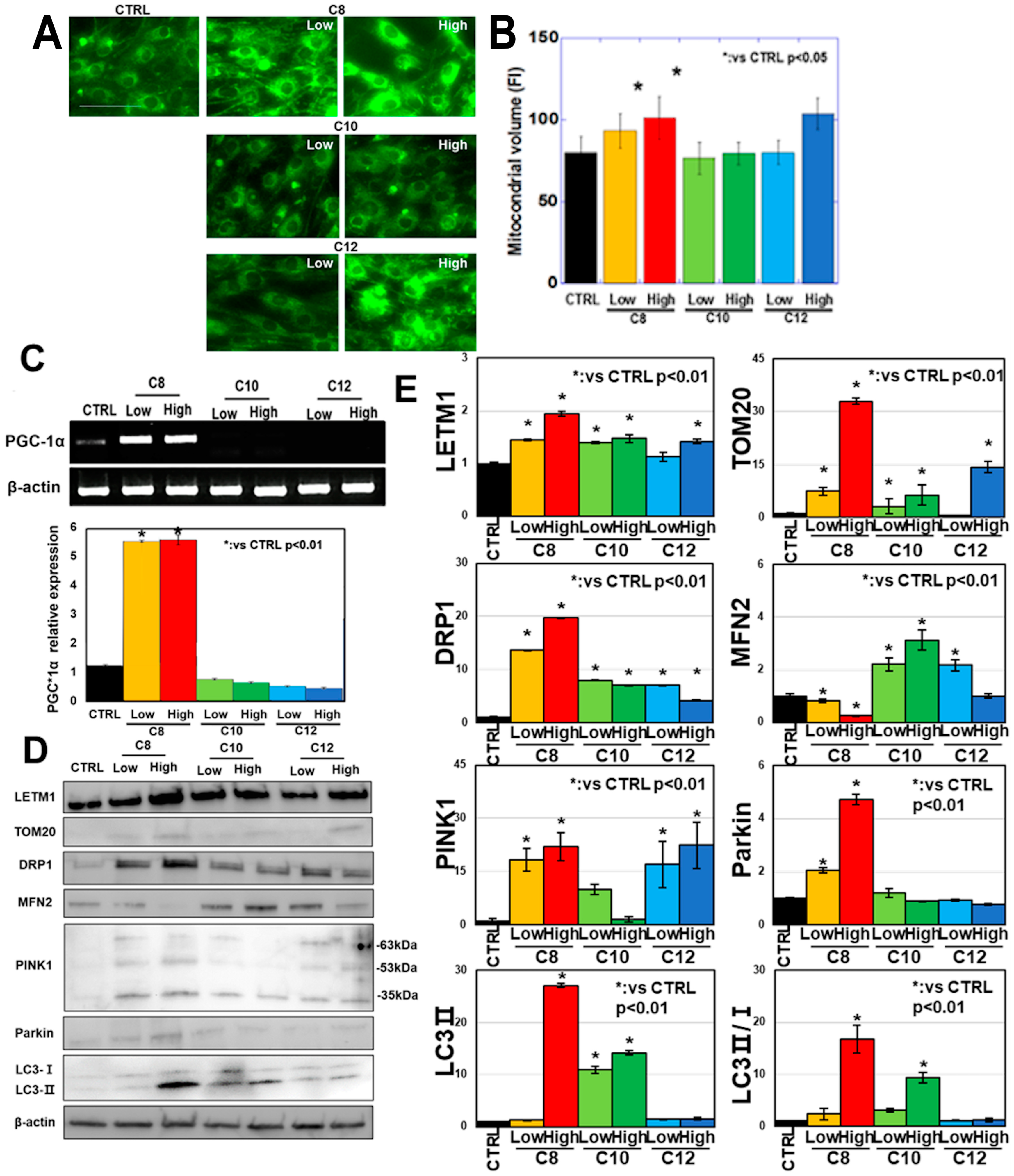 Antioxidants 13 00821 g002a
